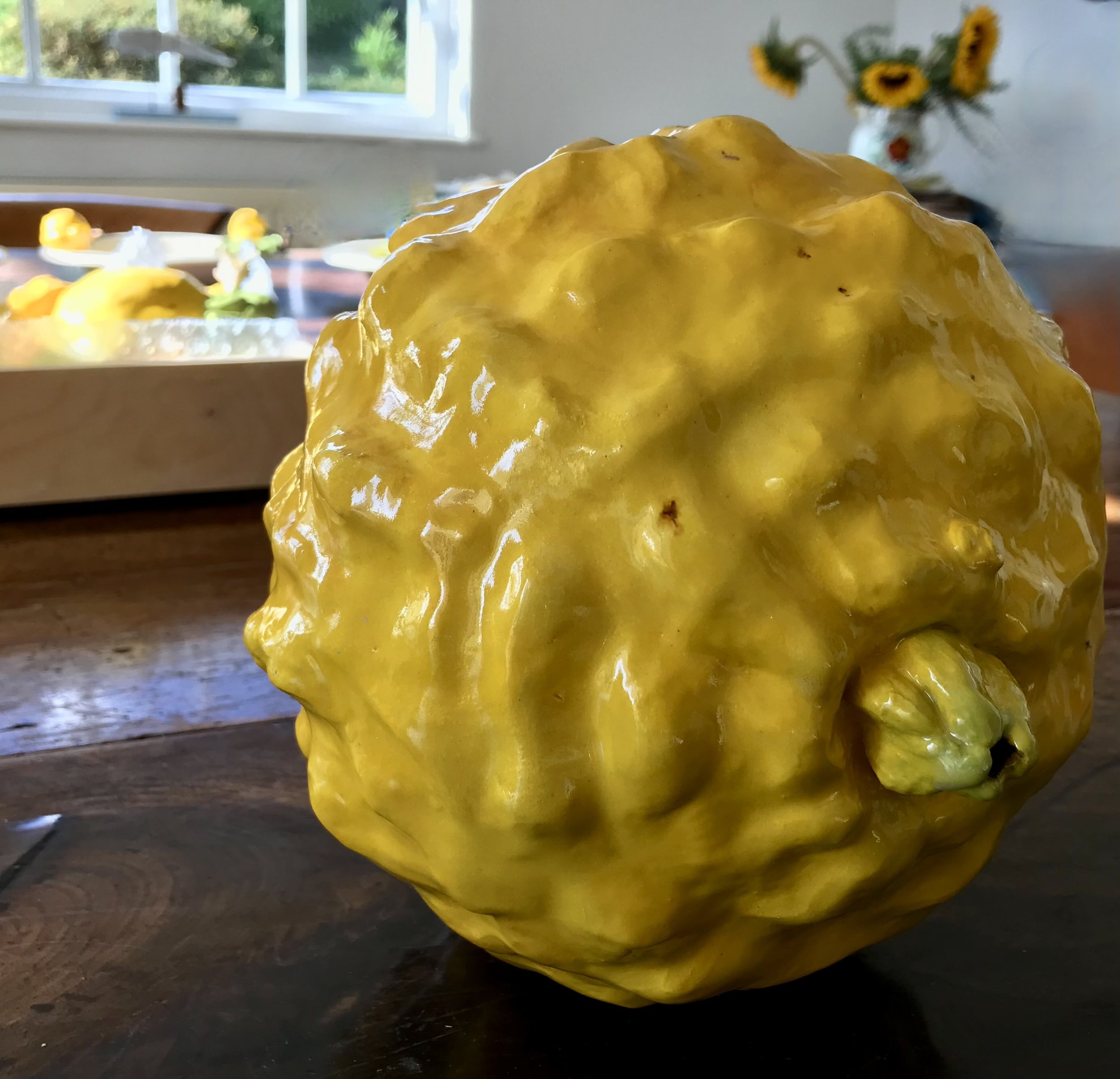 Citrus Limon Ponderosa.