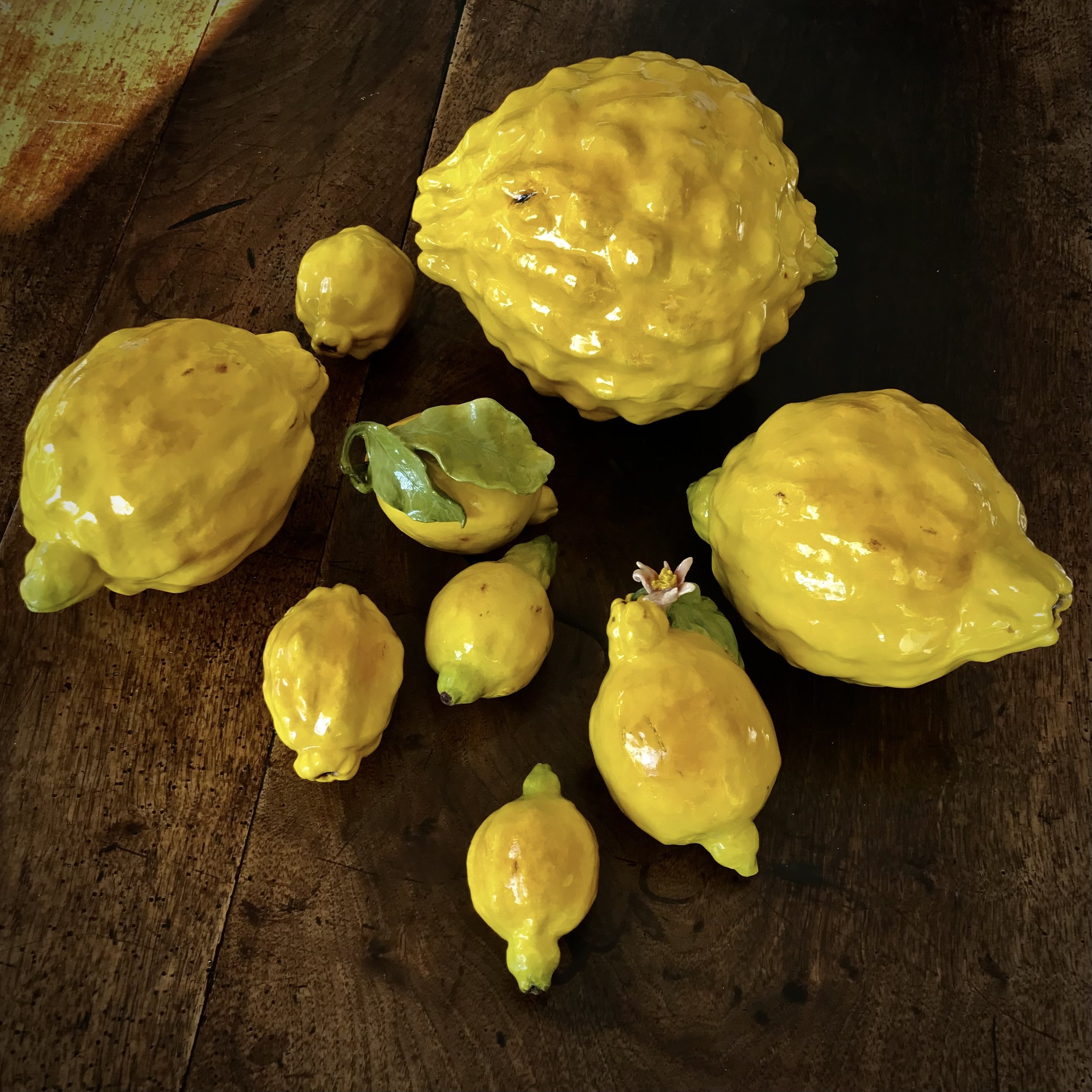 A Golden Gathering: rare citrus varieties, sculpted from Cornish stoneware clay and painted by hand.