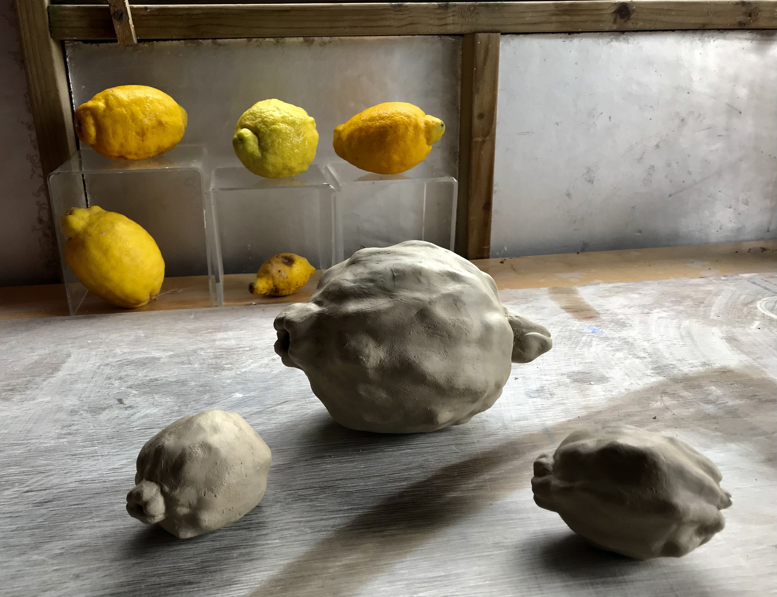 A Study in Stoneware: a collection of organic lemon specimens and three greenware clay lemons.