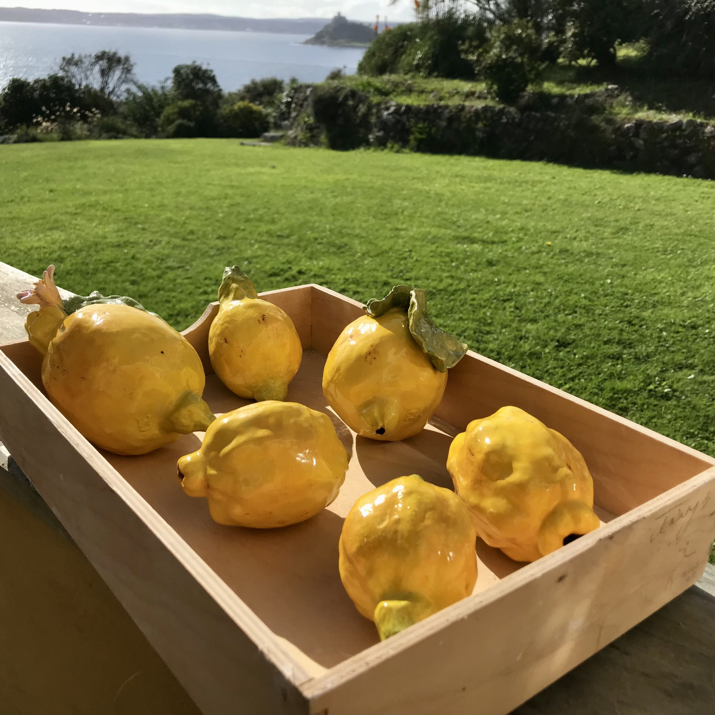 Rare Exports: a tray of sunny yellow citrus fruits, all sculpted from Cornish stoneware clay and painted by hand.