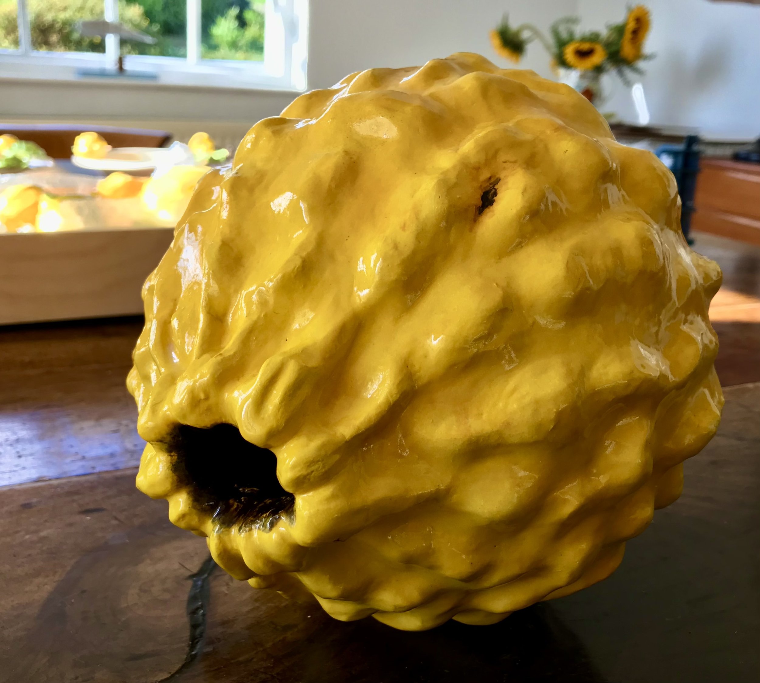 Citrus Limon Ponderosa: a weighty contemplation.