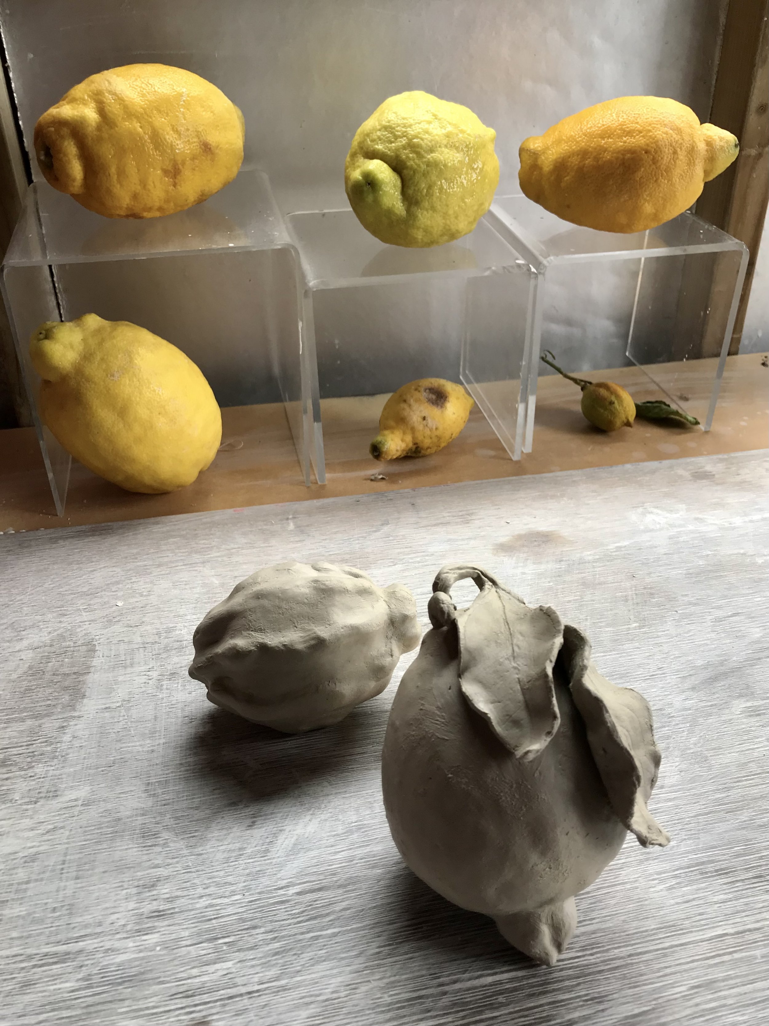 A Study in Stoneware: a collection of organic lemon specimens and two greenware clay lemons.