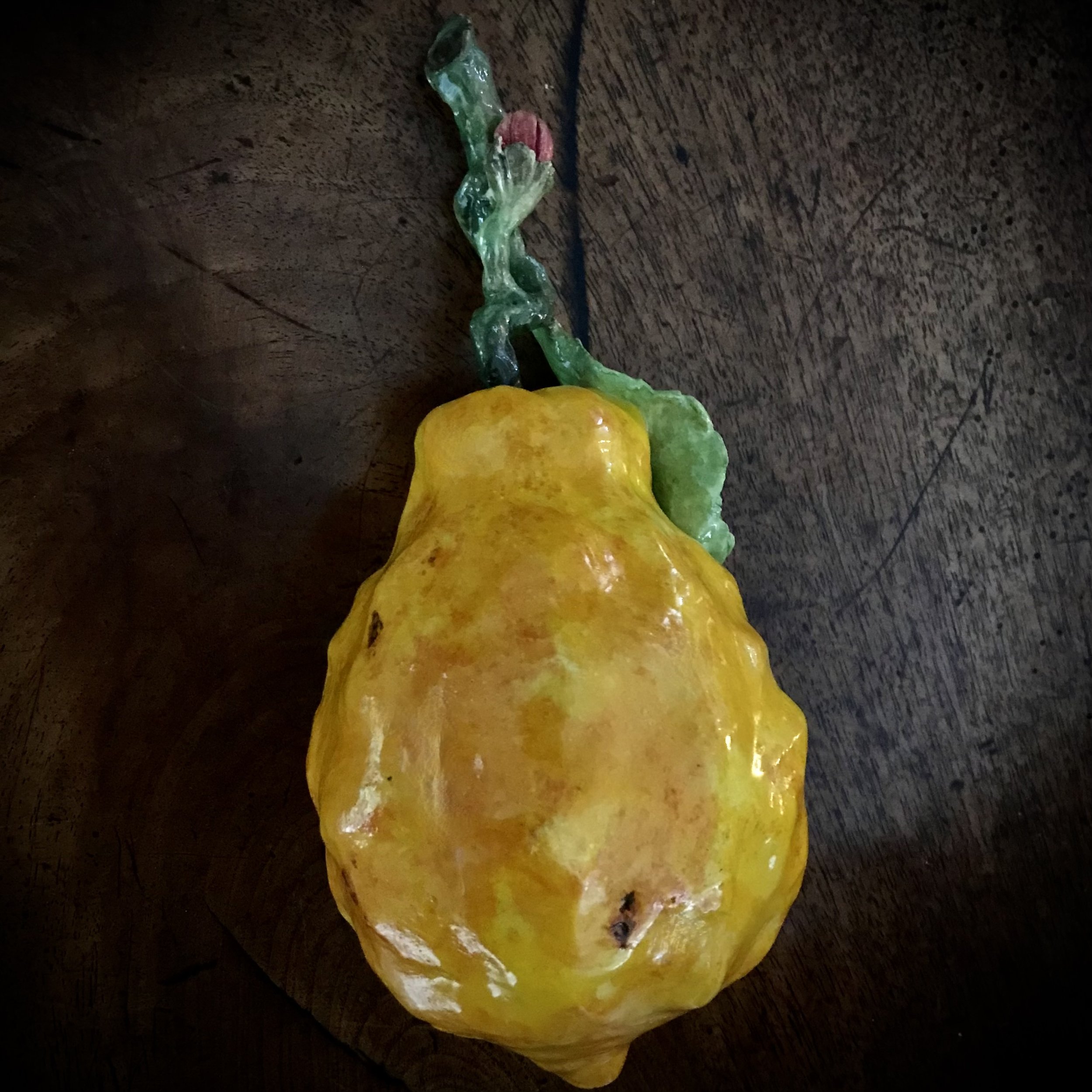 Citrus Limonimedica ‘Bicolor’: modelled, in Cornish stoneware clay, after a variety created by the Medici and spotted in the Boboli gardens of Florence.
