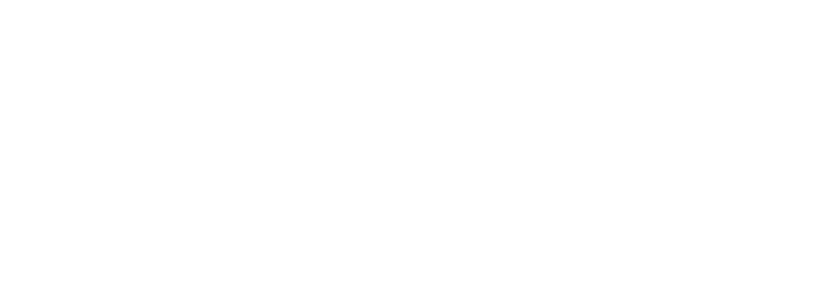 White &amp; Iverson, LLC