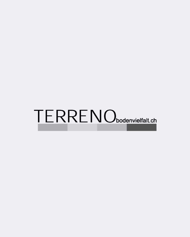 terreno.png