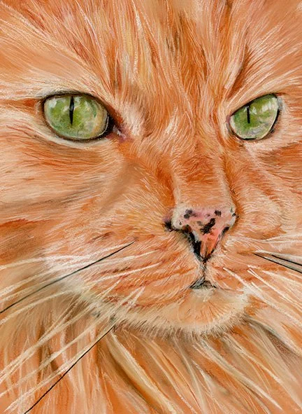 Medium | Soft Pastels