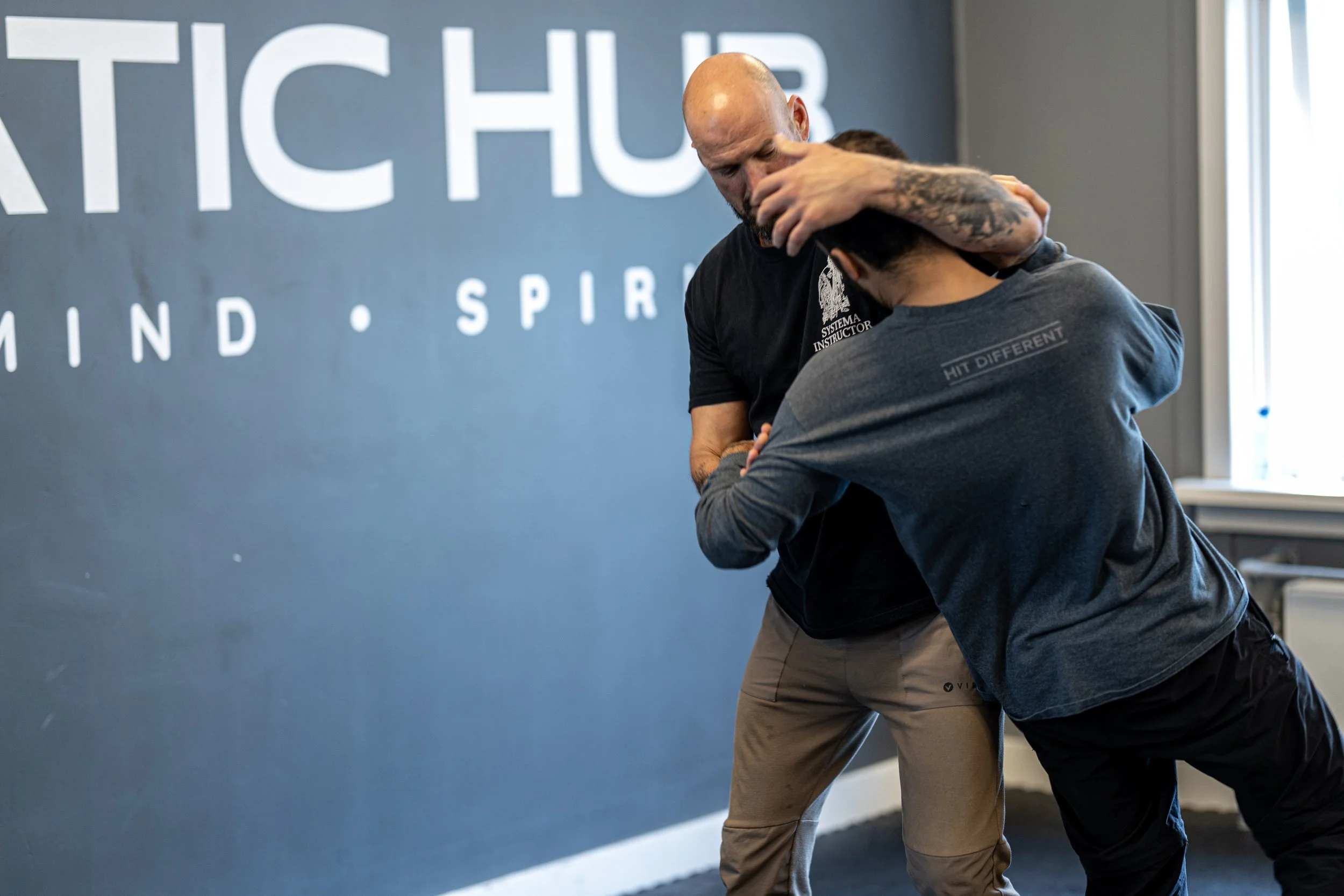 Systema Fundamentals .jpg