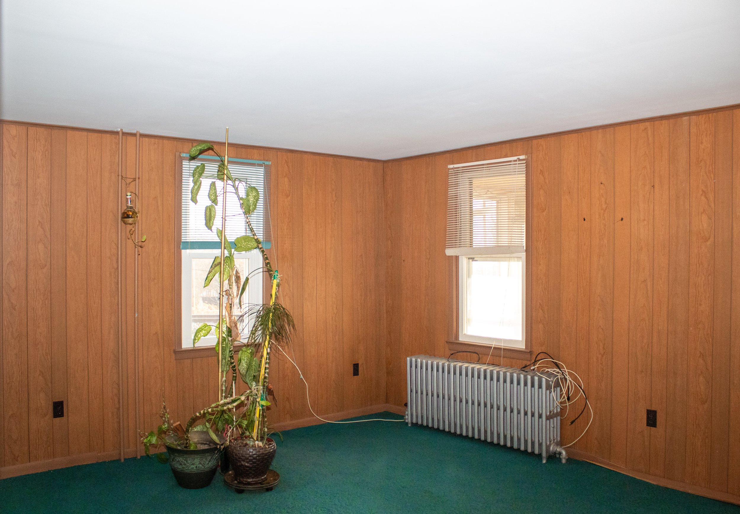 Empty room with wood panel walls, green carpet, plants by a window, radiator under another window, and some visible cords.