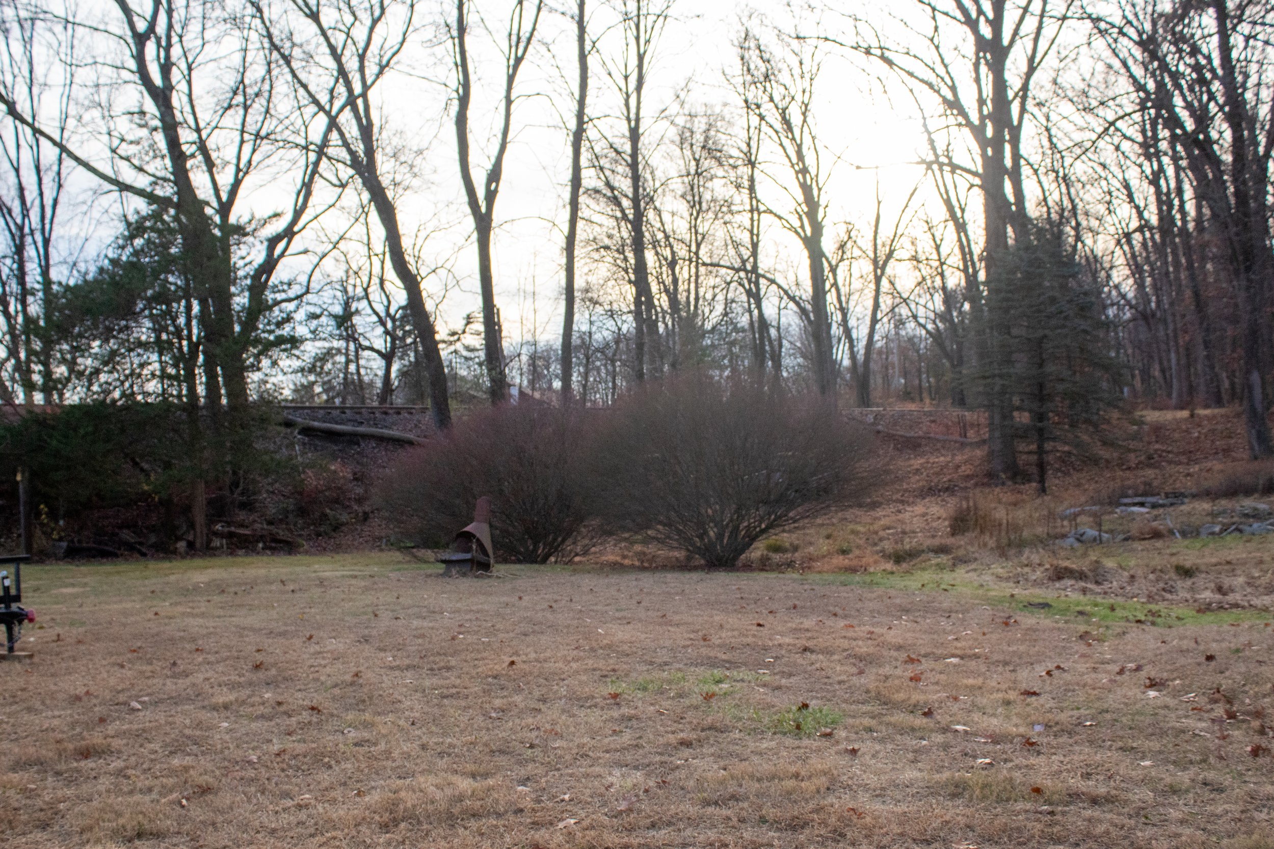 A wintery landscape with leafless trees, dry grass, a bush, a metal structure, and a distant fence or rail. The sky is overcast.