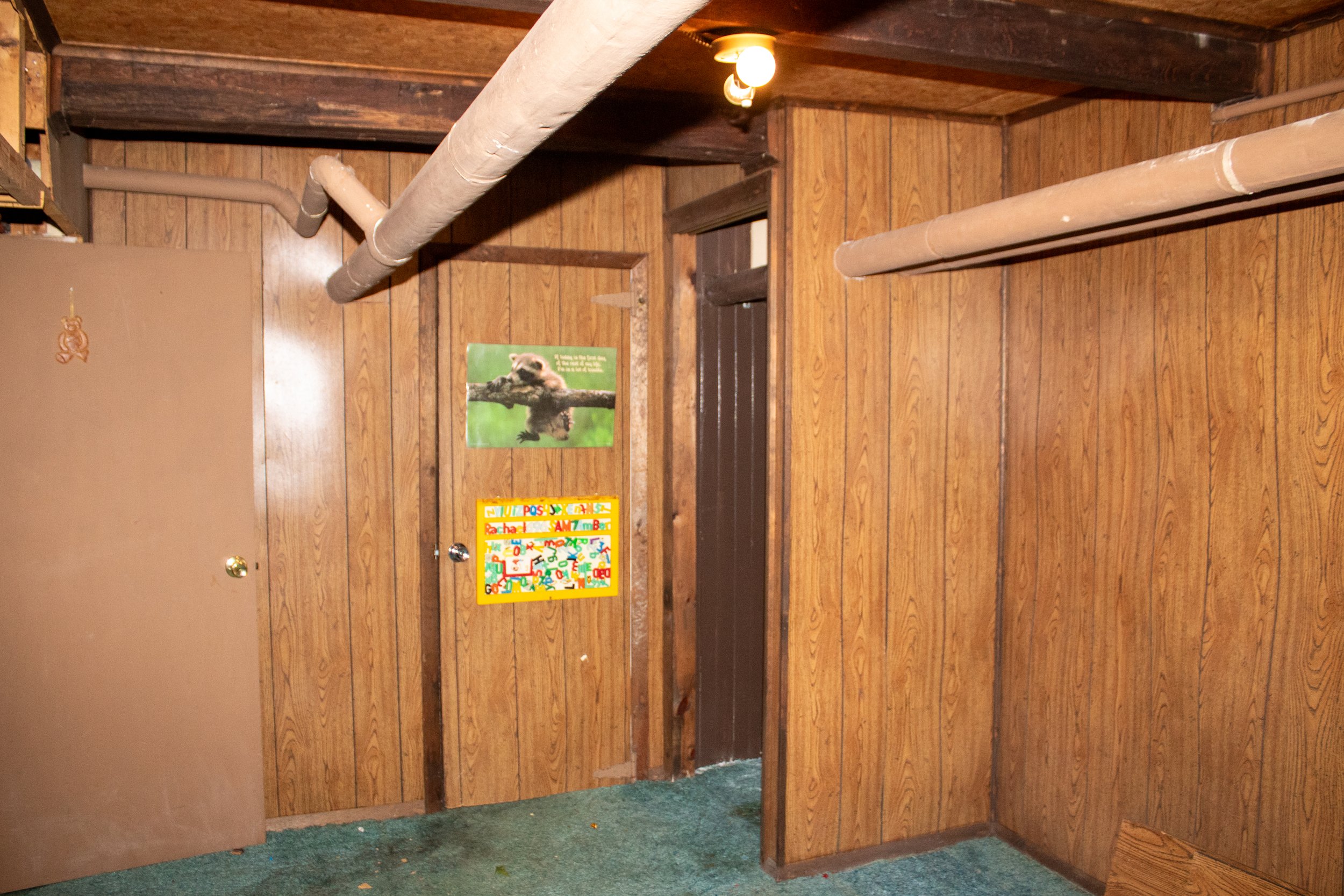 Interior of a wood-paneled room with exposed pipes, brown door, green carpet, and children's posters on the walls.