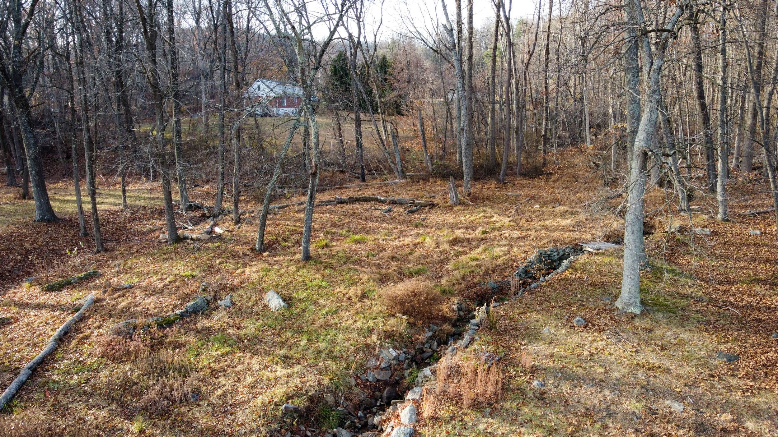 Woodland scene with bare trees and a small stream, autumn leaves covering the ground, and a distant white house in the background.