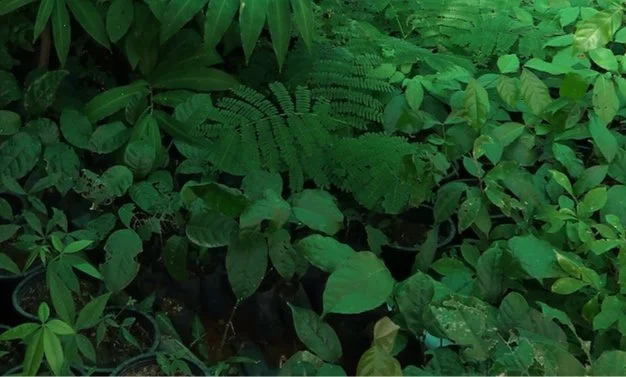 Screen Shot 2024-03-19 at 10.40.44 PM.jpg