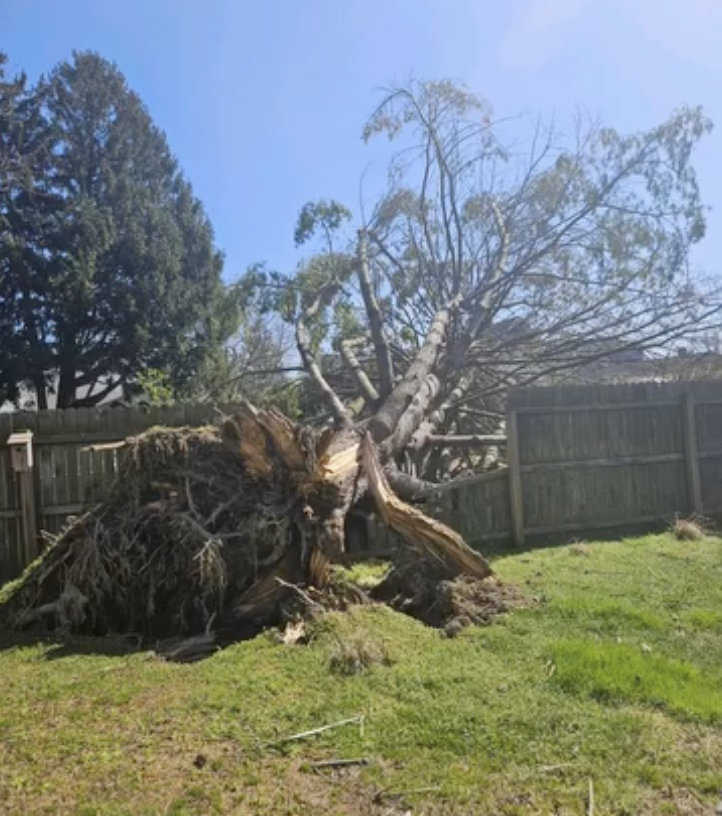 Screenshot 2024-04-07 at 8.03.26 AM.png