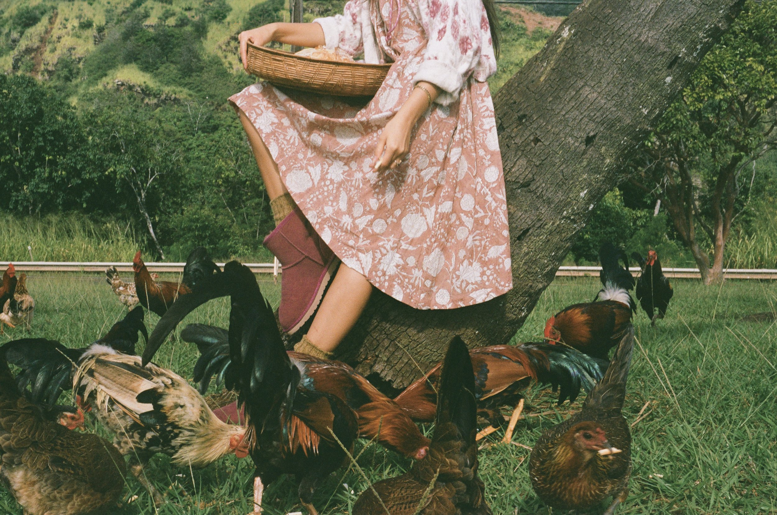 000033570009 (3).jpg