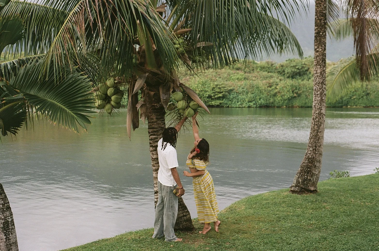 000036360024 (2).jpg