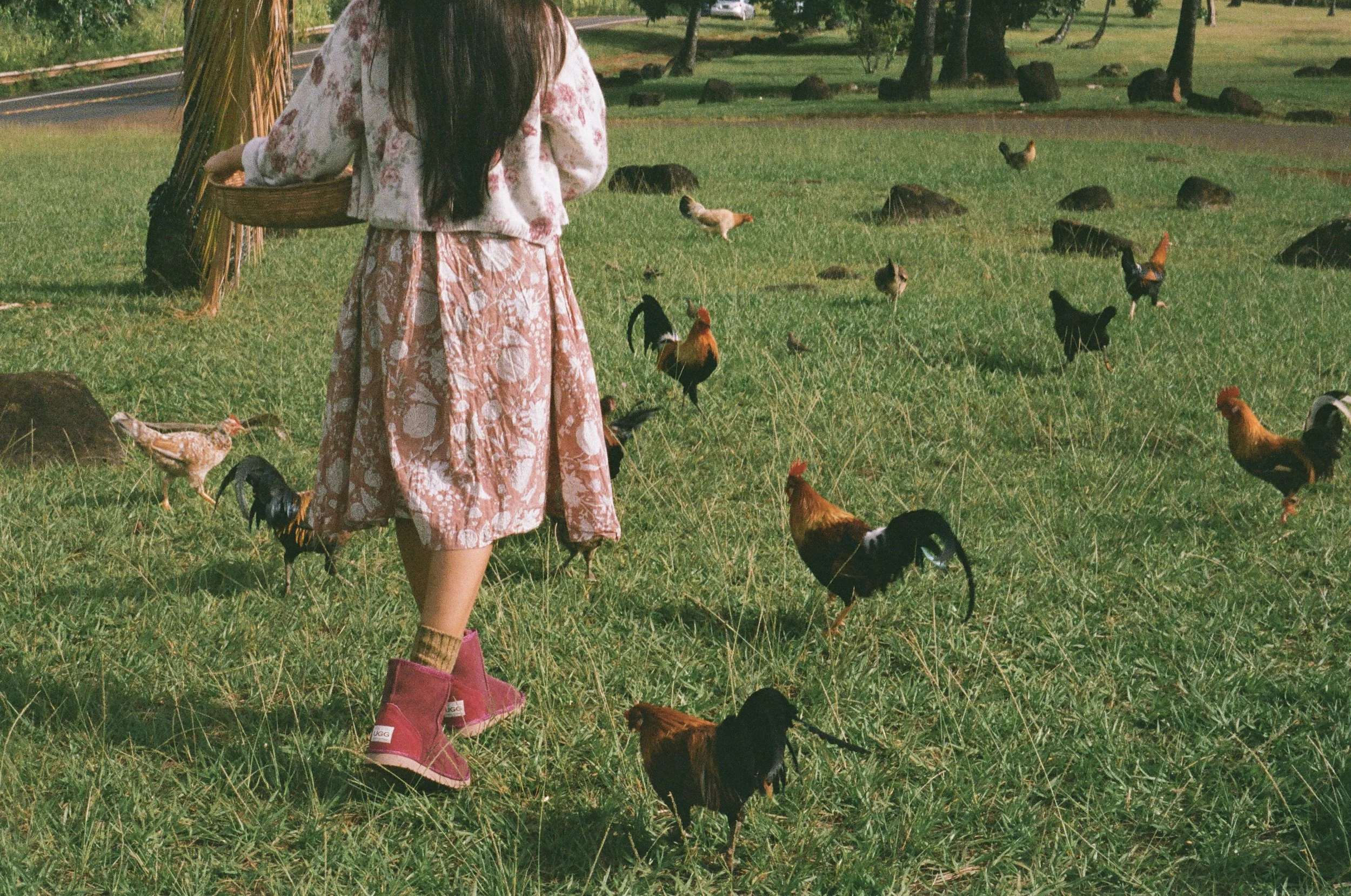 000033570012 (2).jpg