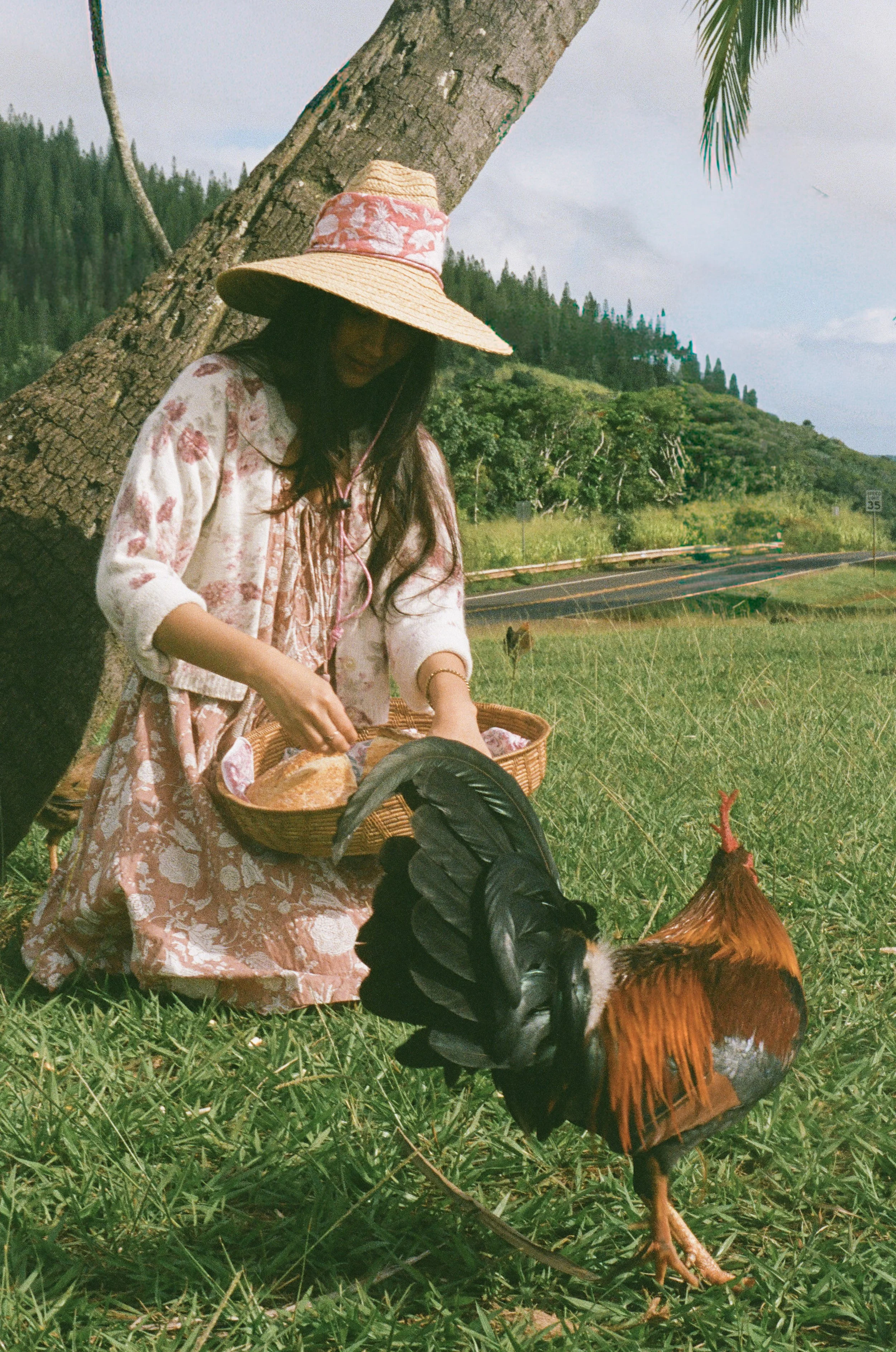 000033570008 (1) (2).jpg