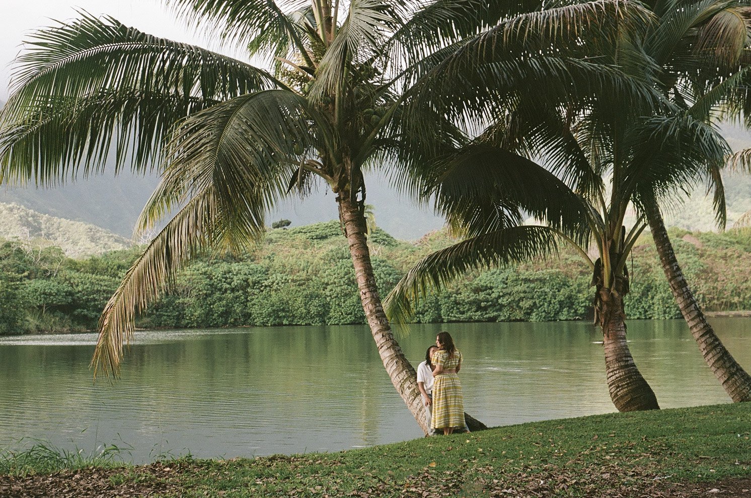 000036360027 (2).jpg