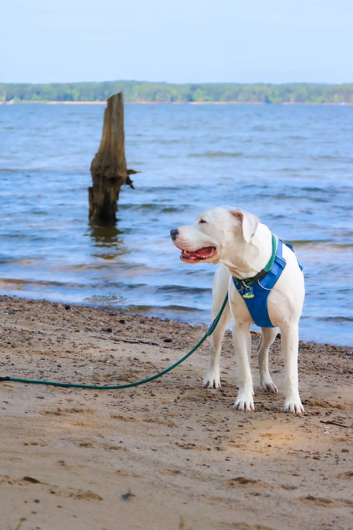 Jordan Lake State Recreation Area