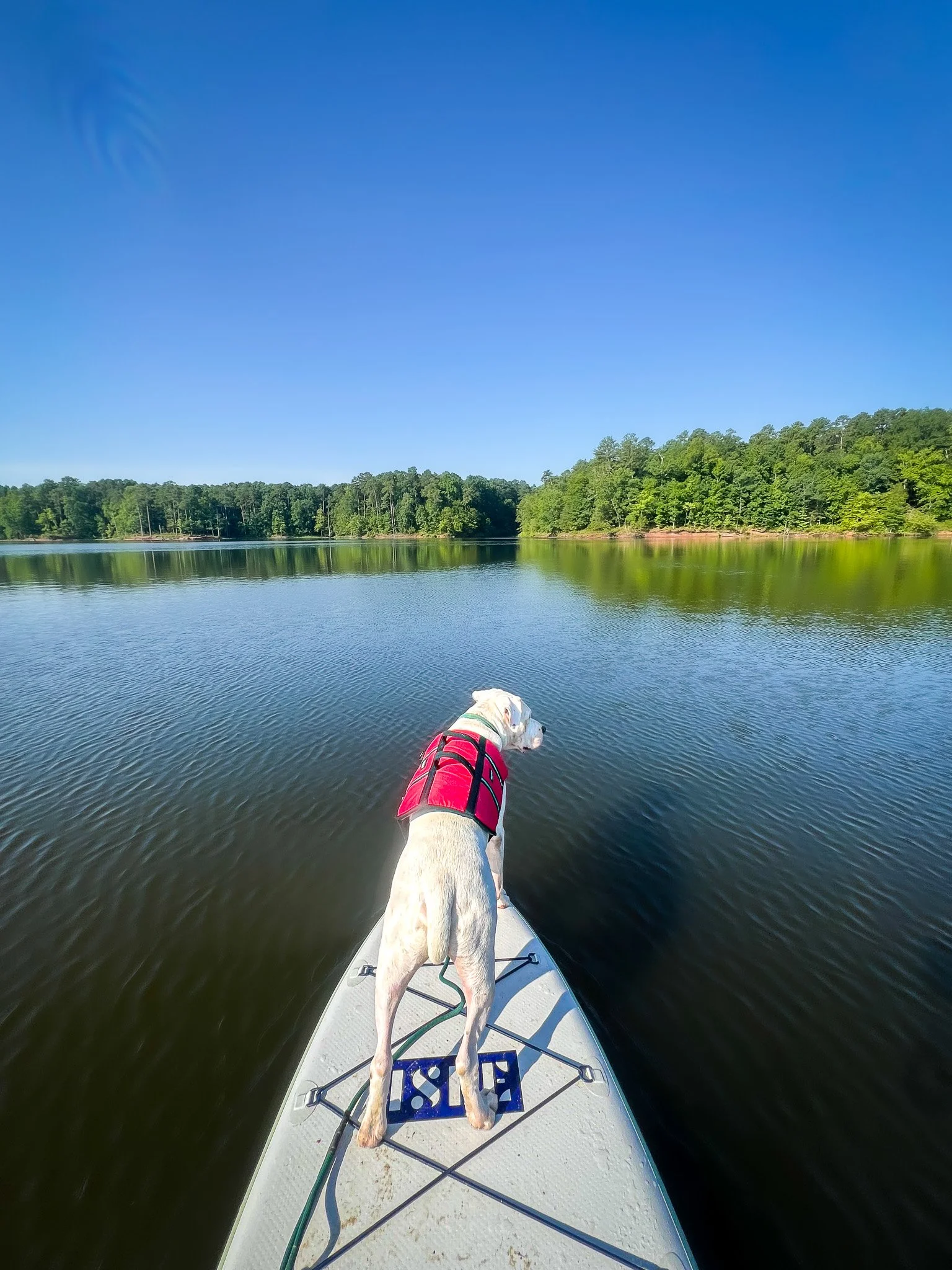 Falls Lake State Recreation Area