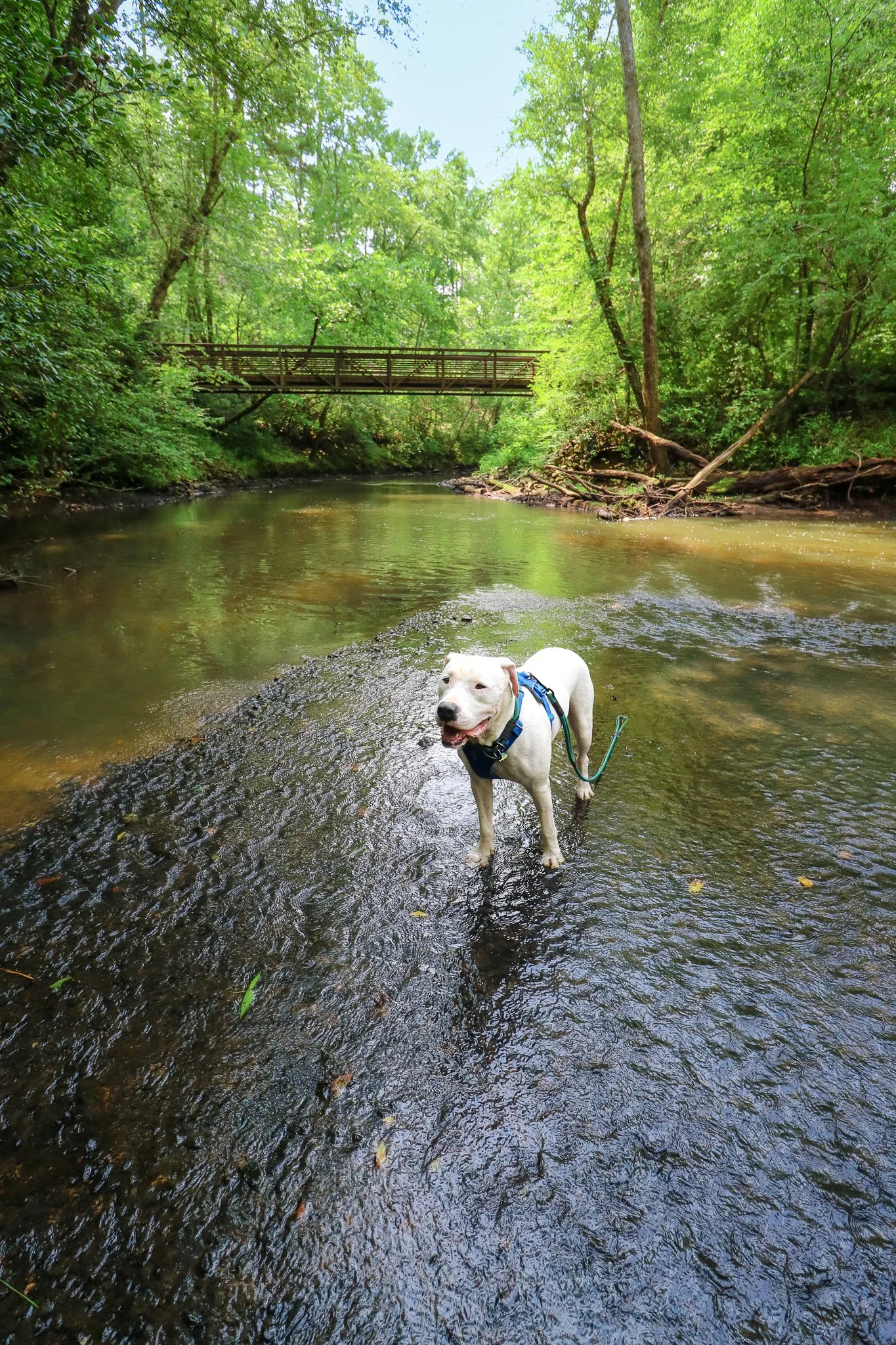Medoc Mountain State Park