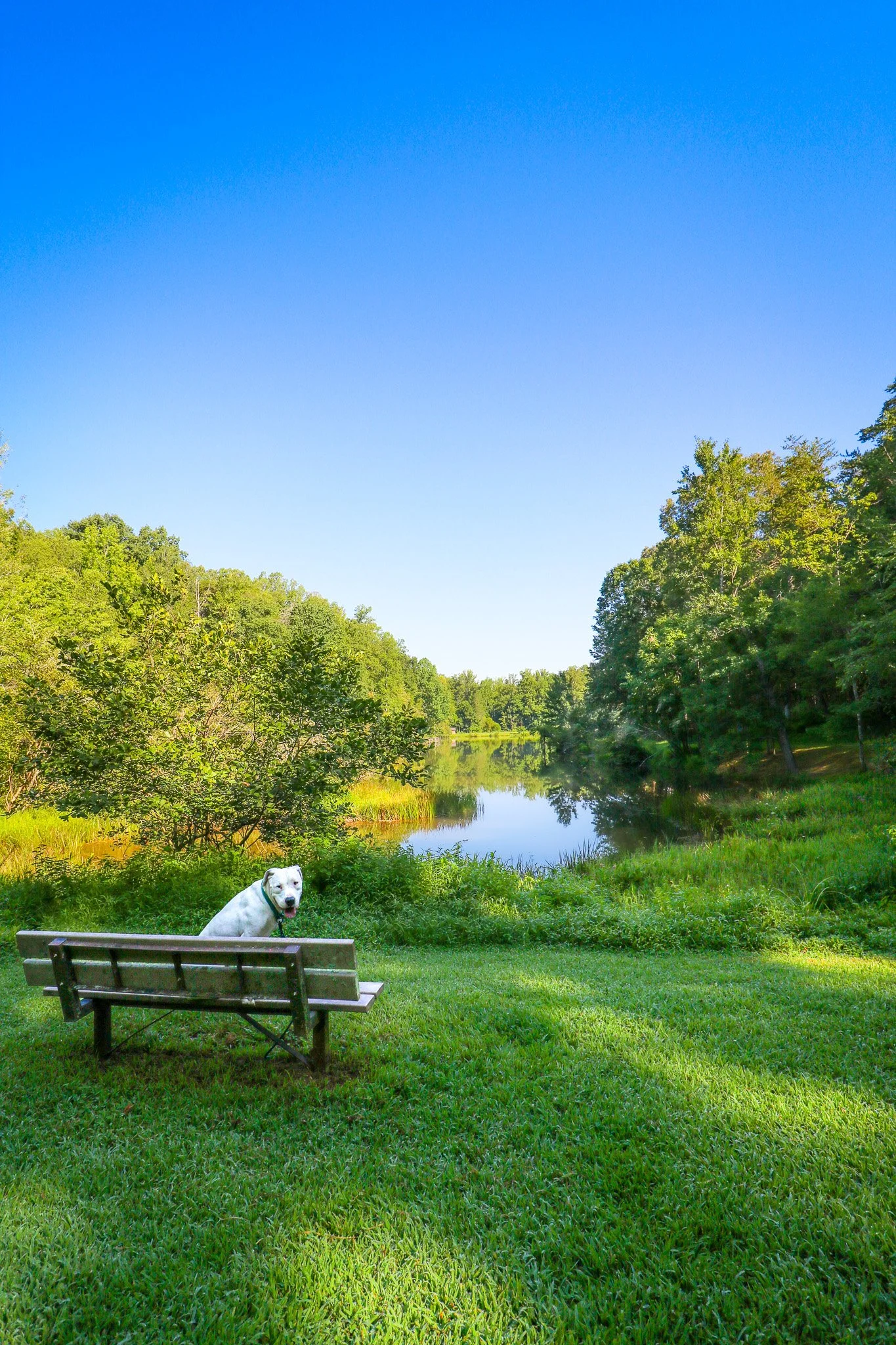 Haw River State Park