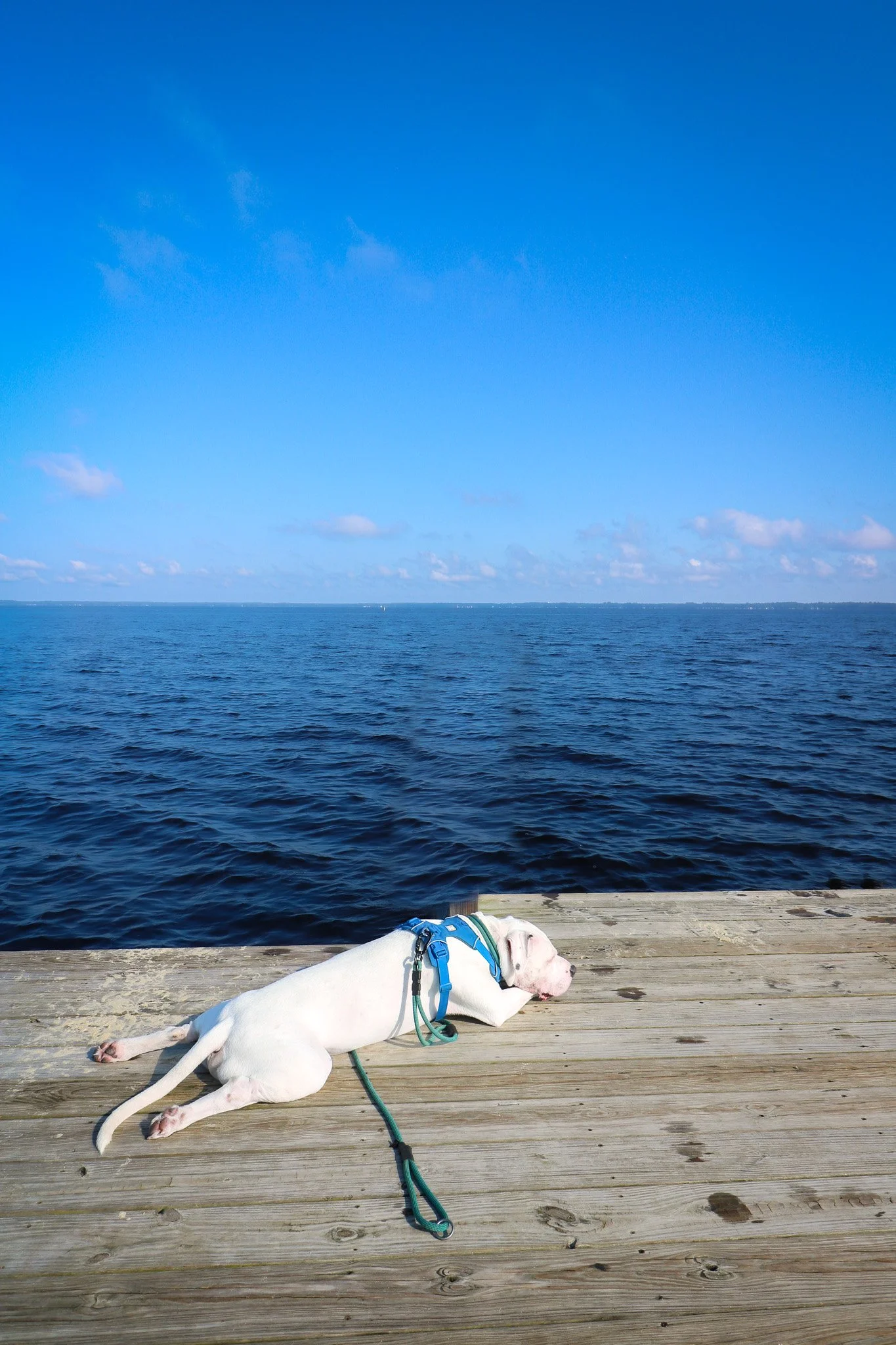 Lake Waccamaw State Park