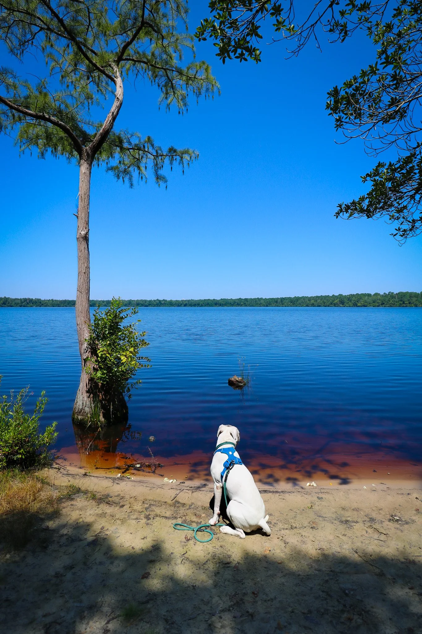 Jones Lake State Park