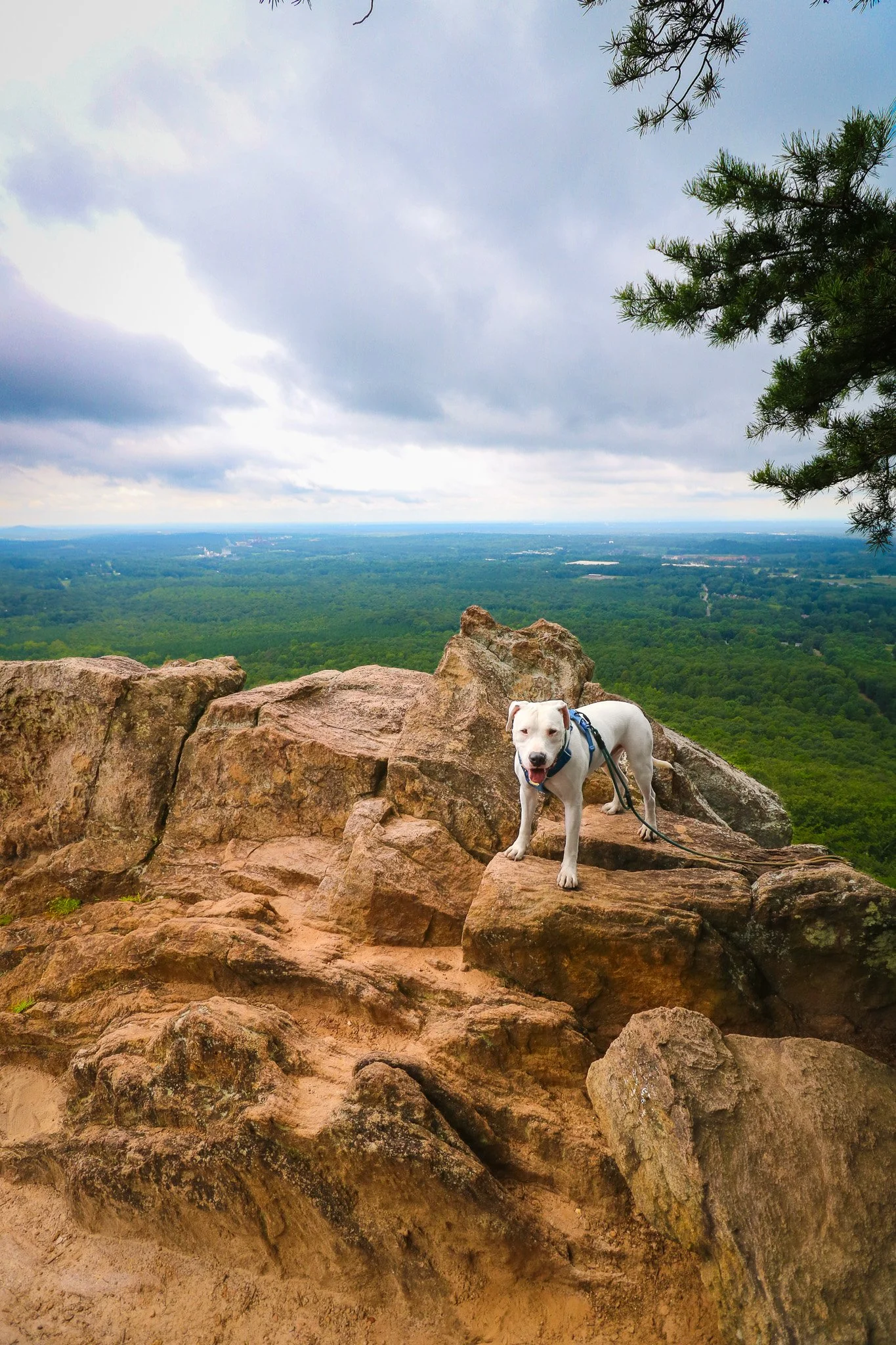 Crowders Mountain State Park