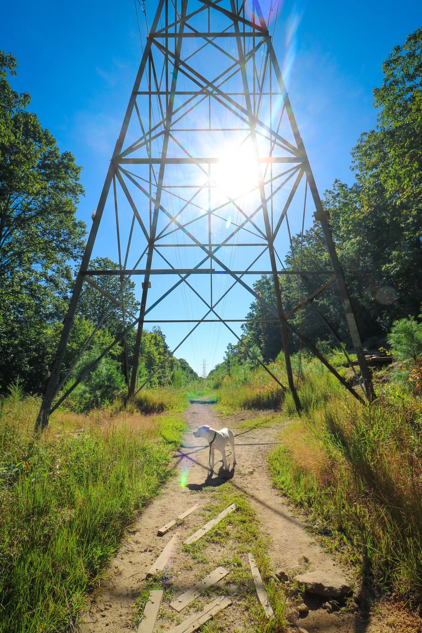 Occoneechee Mountain State Mountain Area