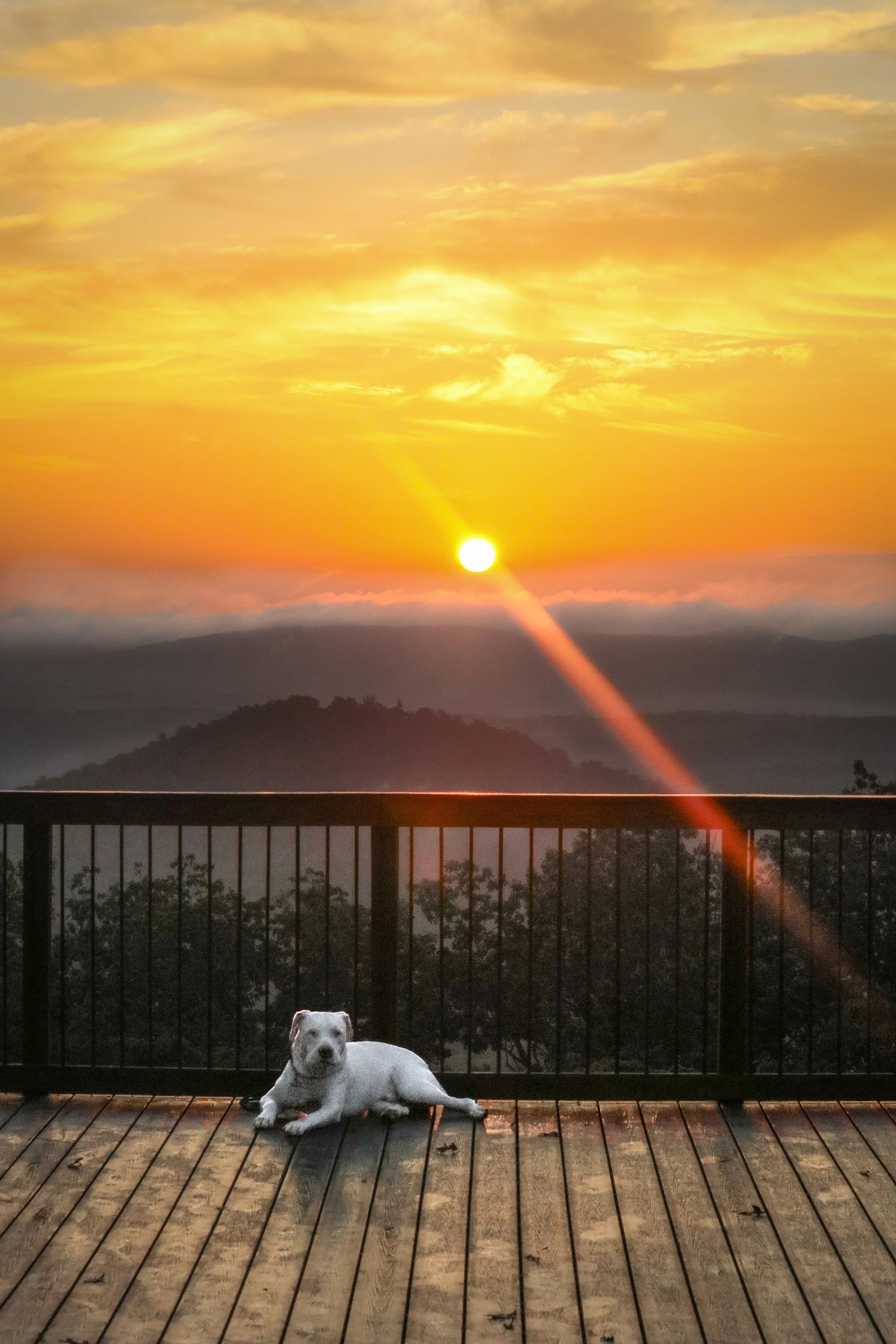 Morrow Mountain State Park