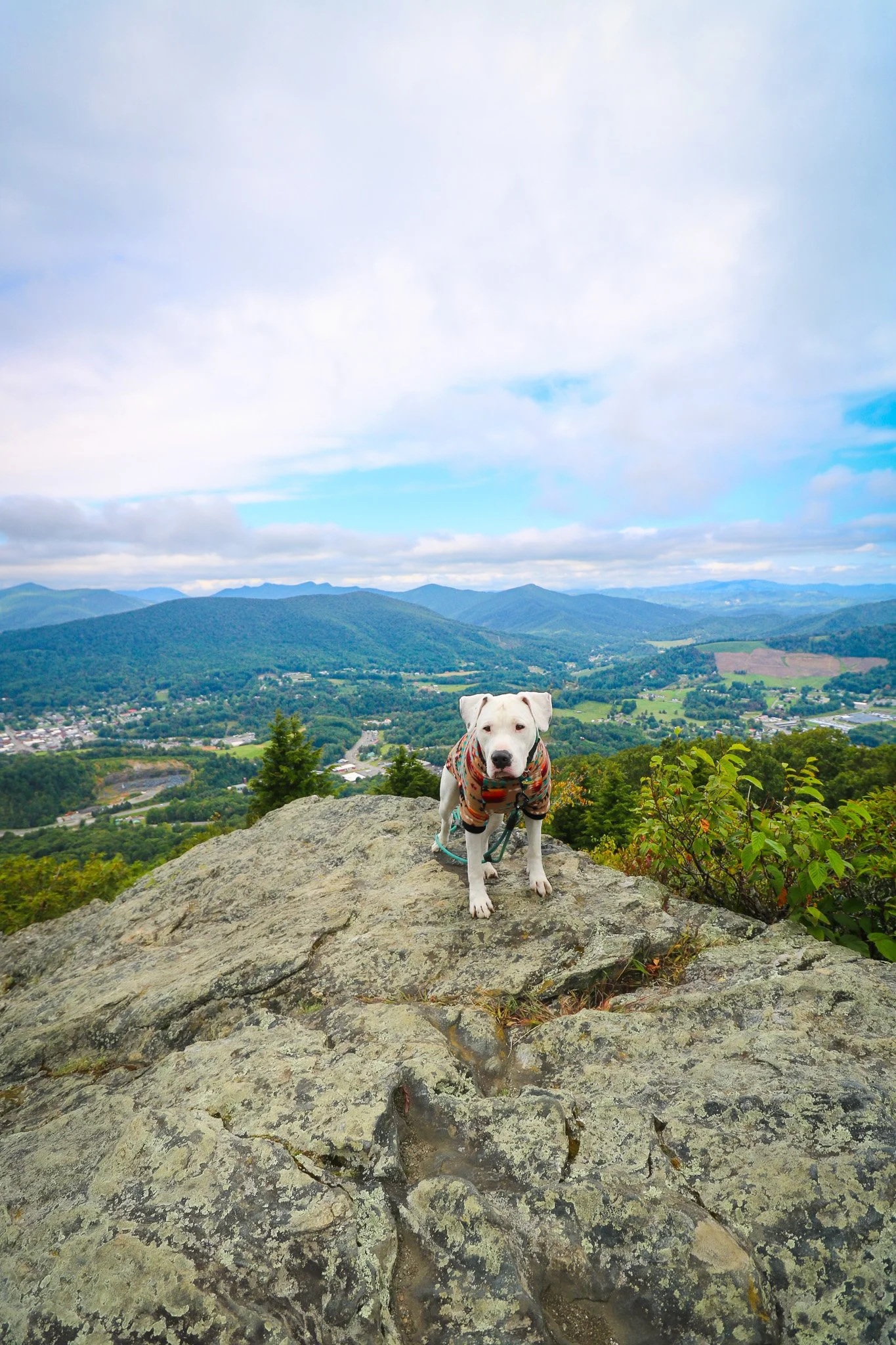 Mount Jefferson State Natural Area