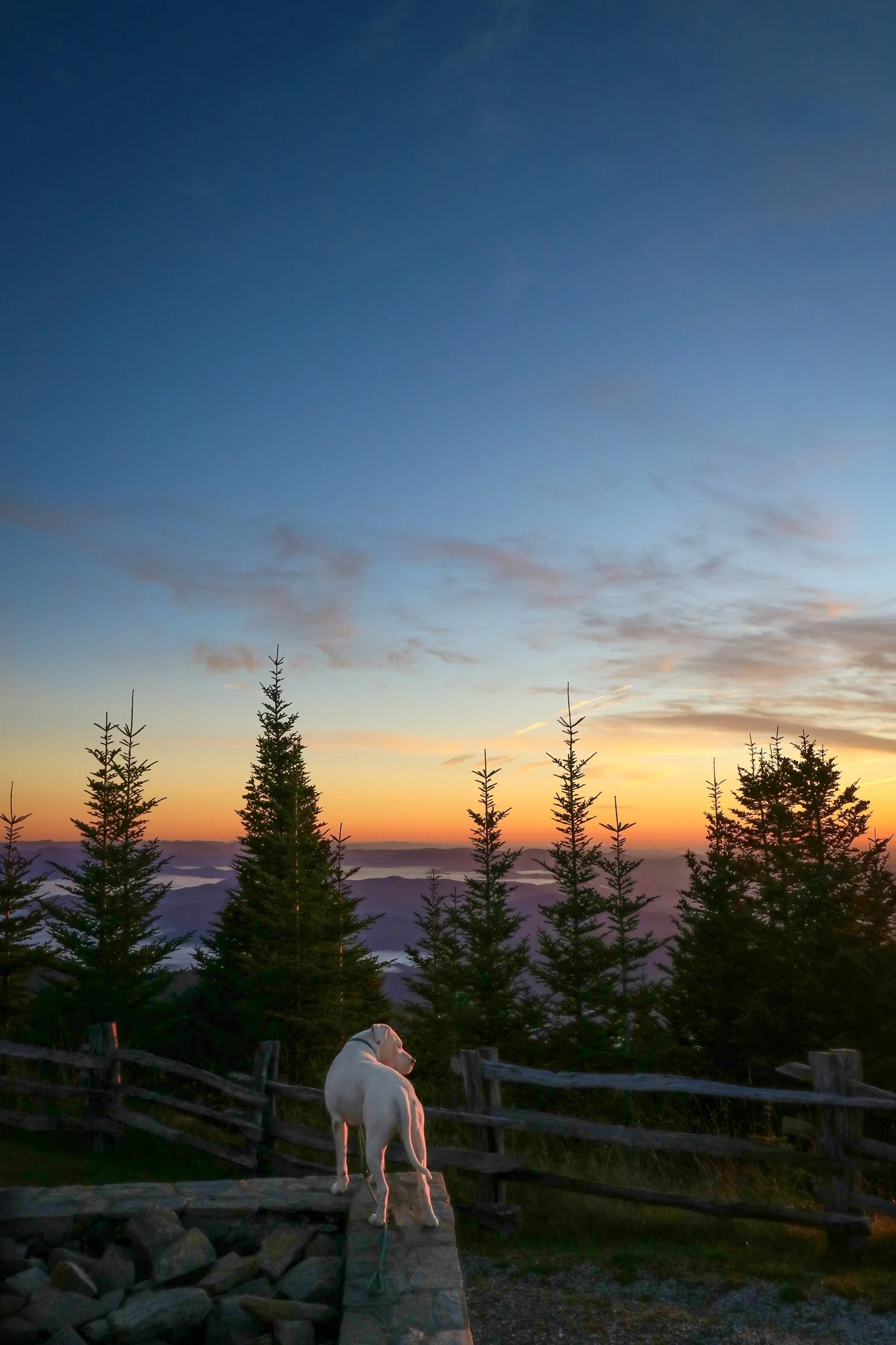 Mount Mitchell State Park