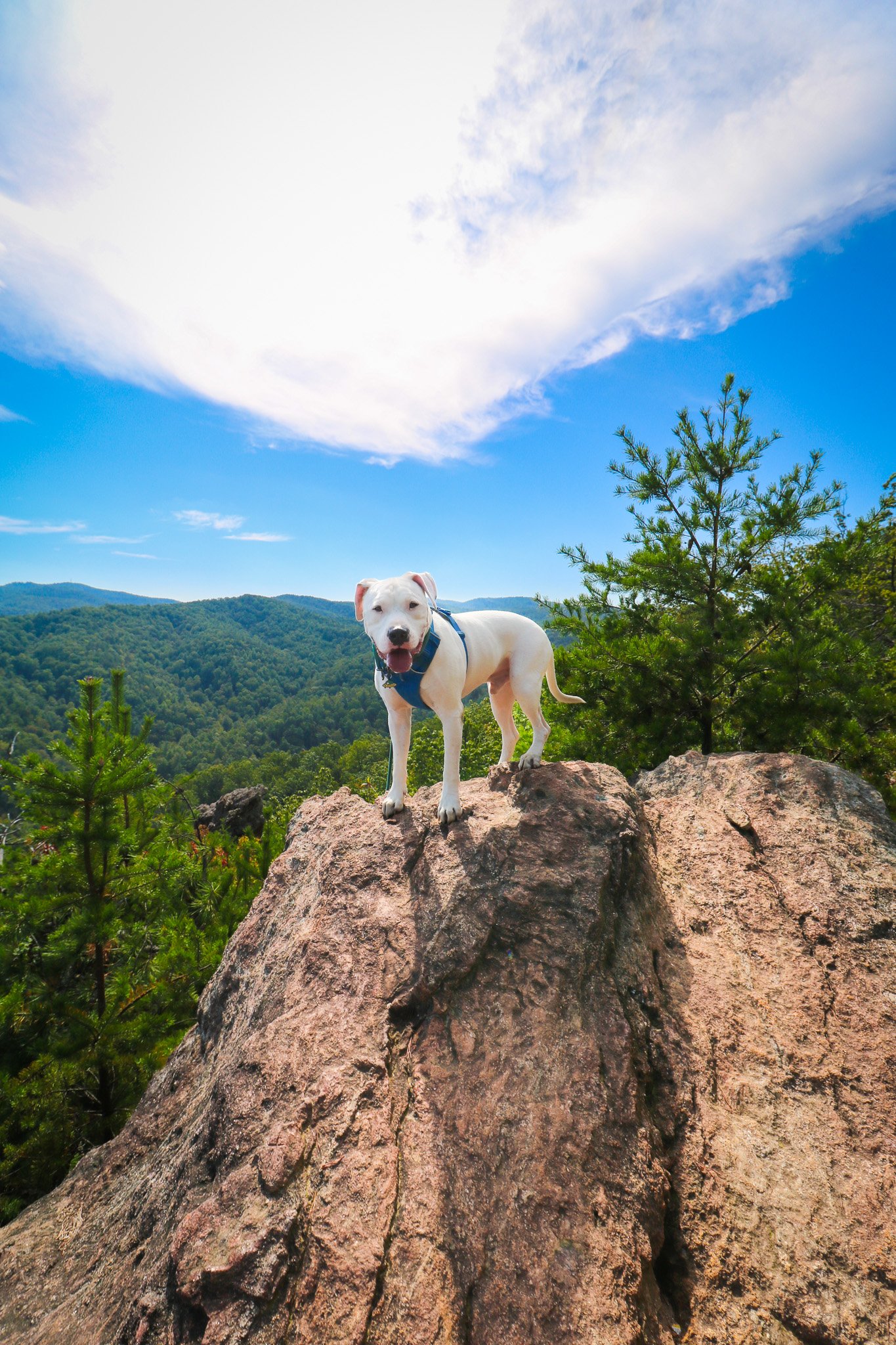 South Mountains State Park