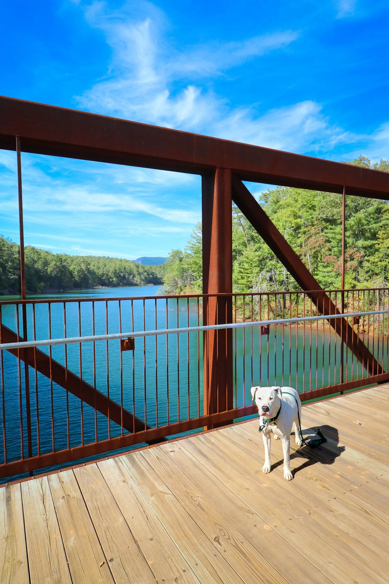 Lake James State Park