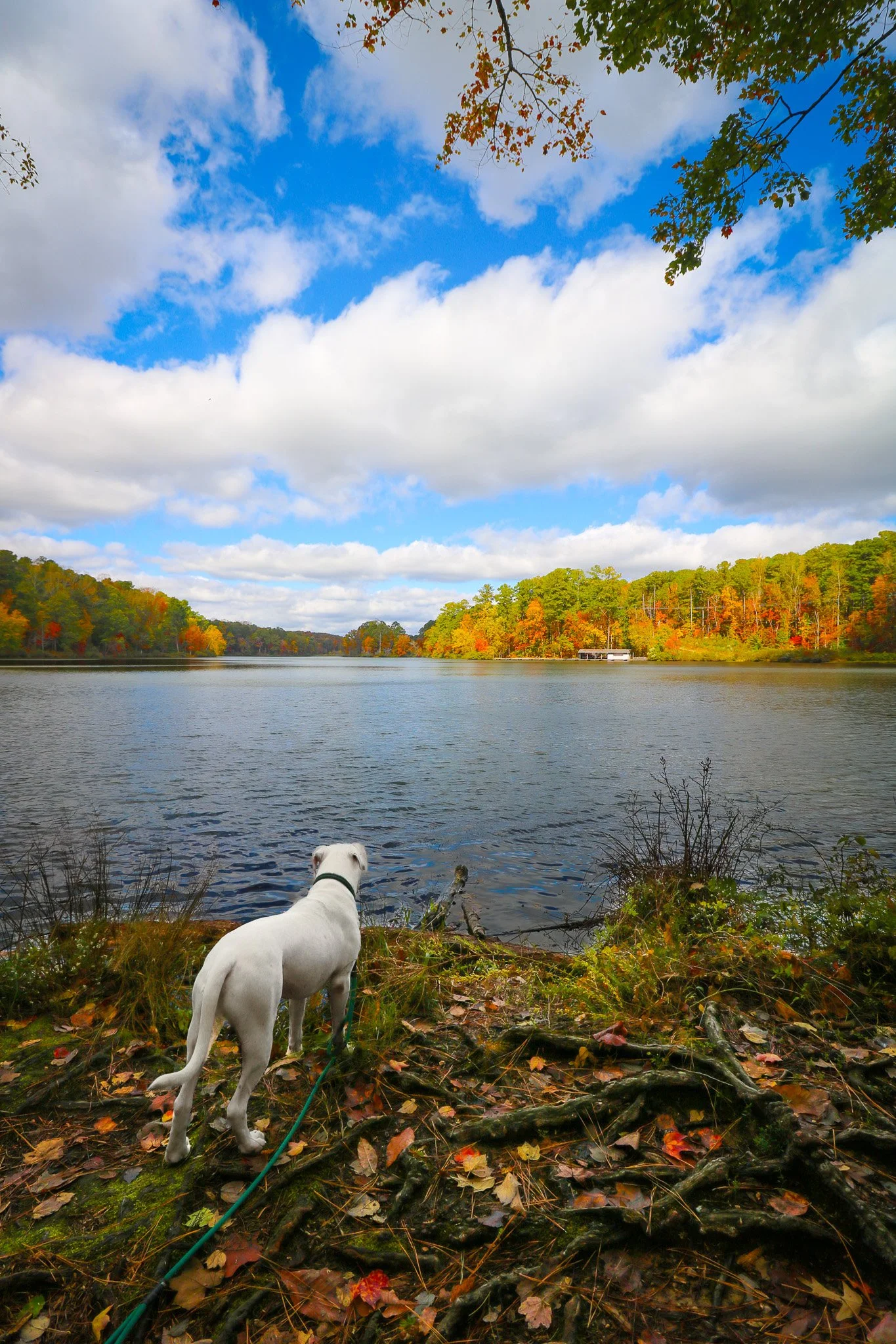 William B Umstead State Park