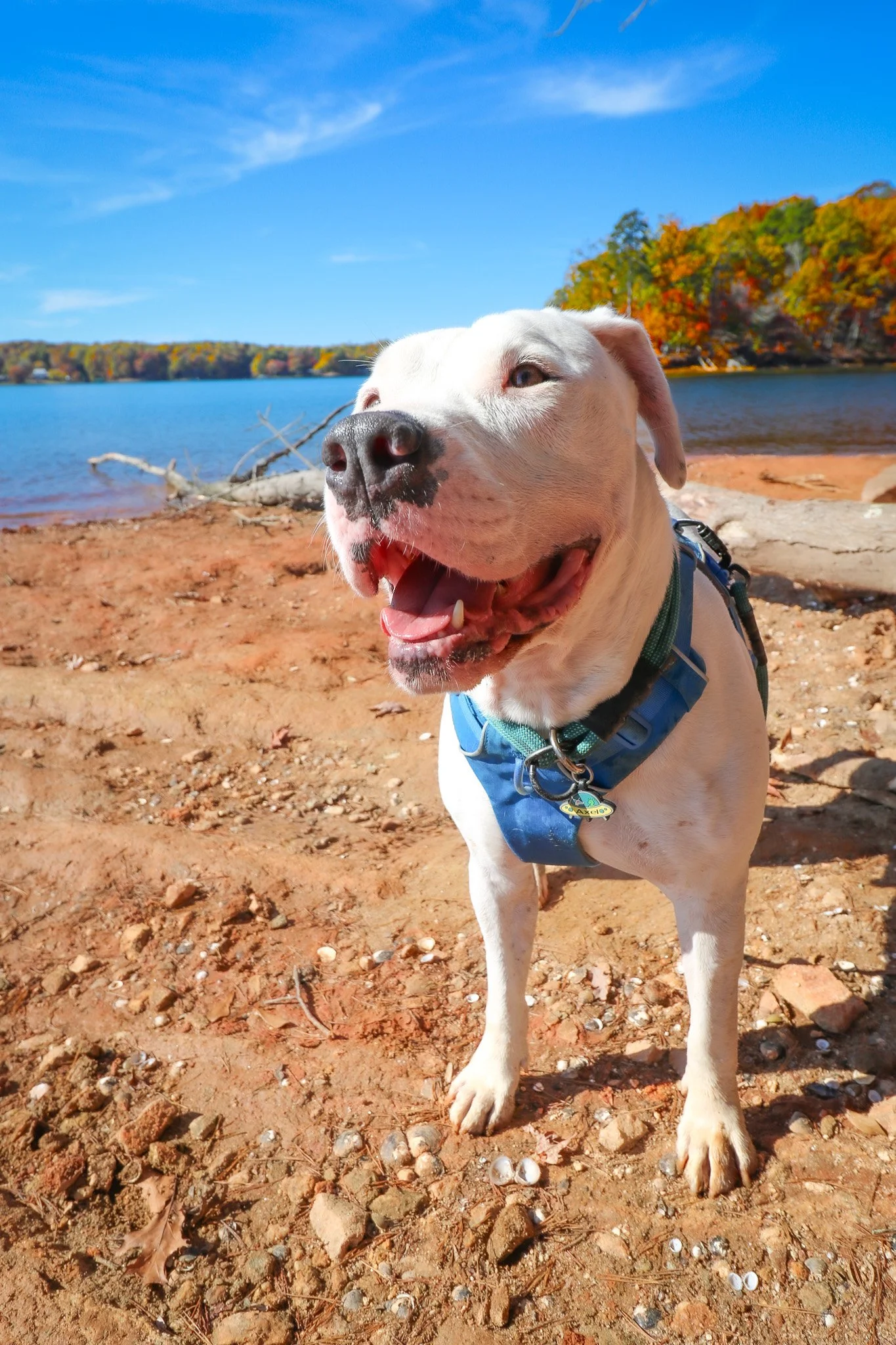 Lake Norman State Park