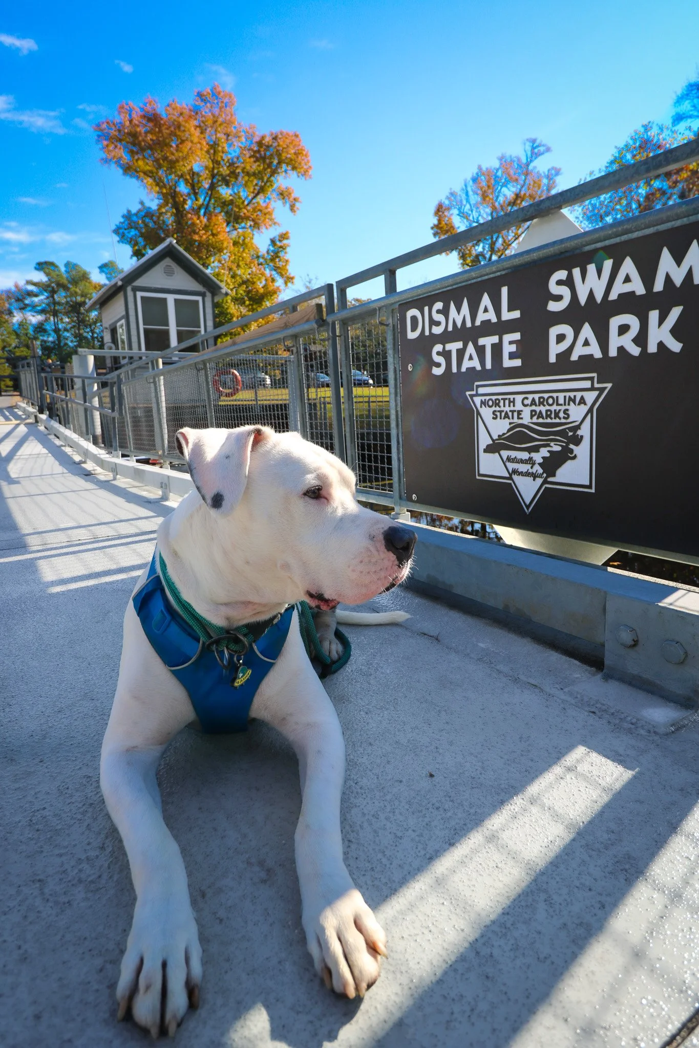 Dismal Swamp State Park