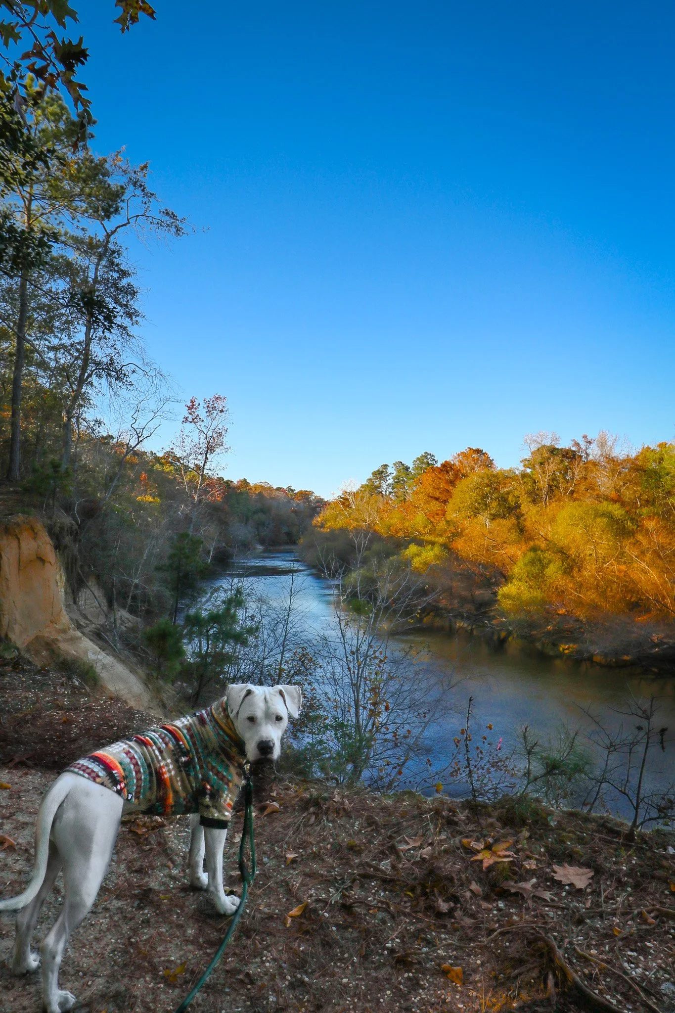 Cliffs of the Neuse State Park