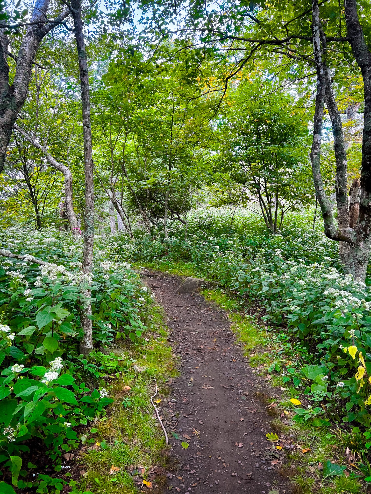 Bob’s Creek State Natural Area