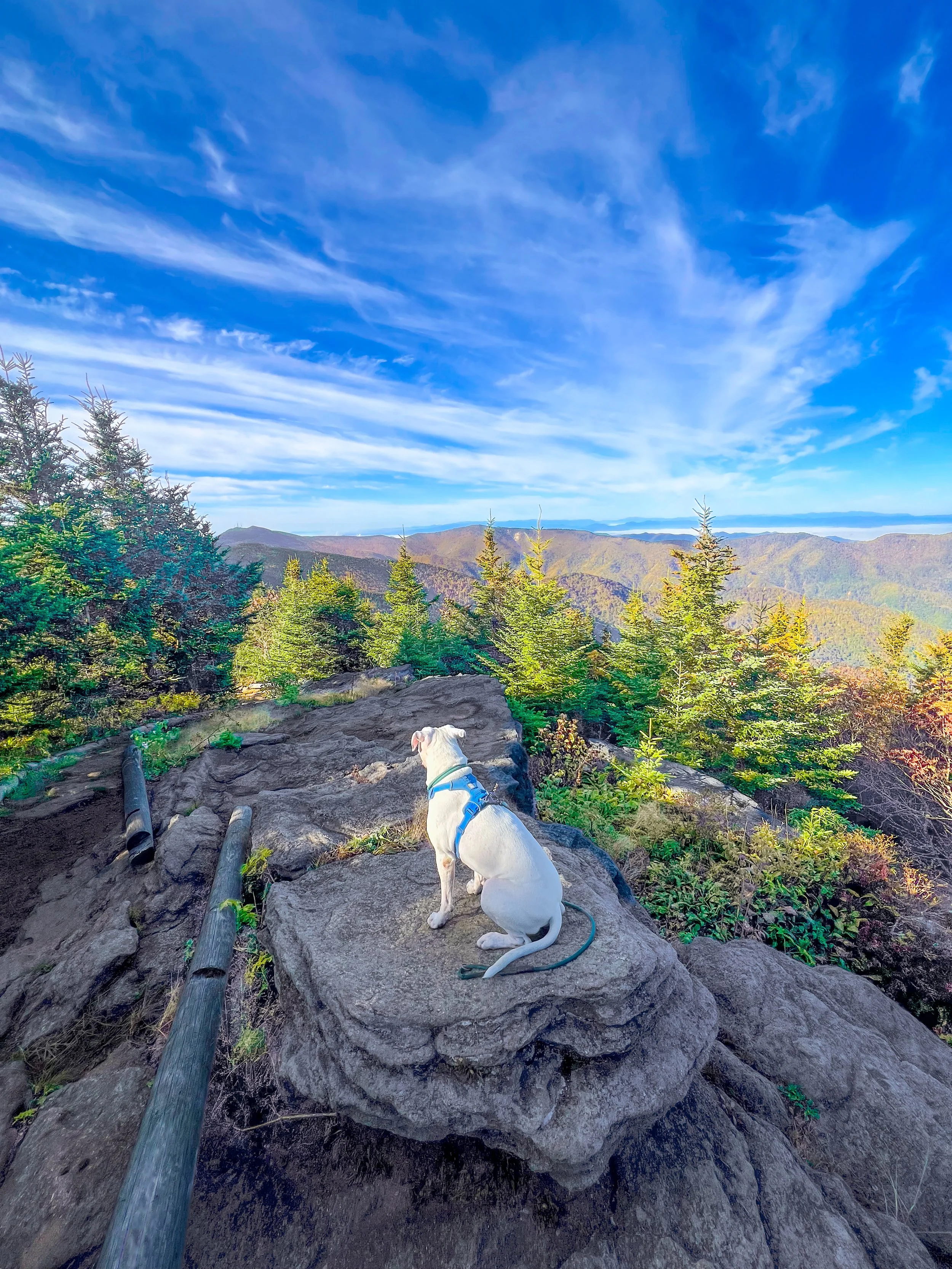 NC State Park Summary