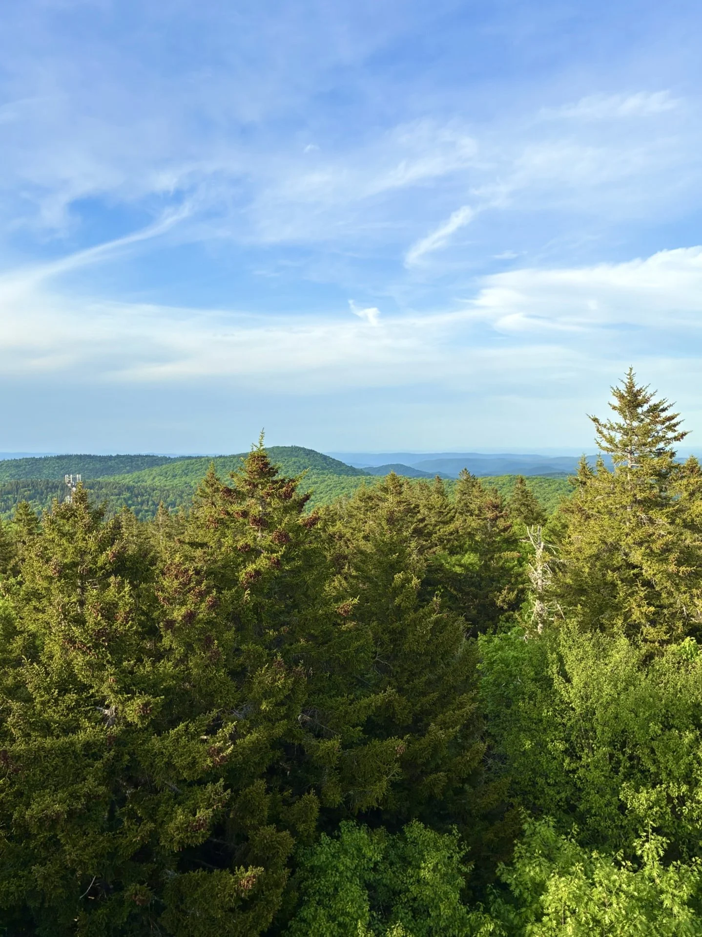 IMG_0090.JPG