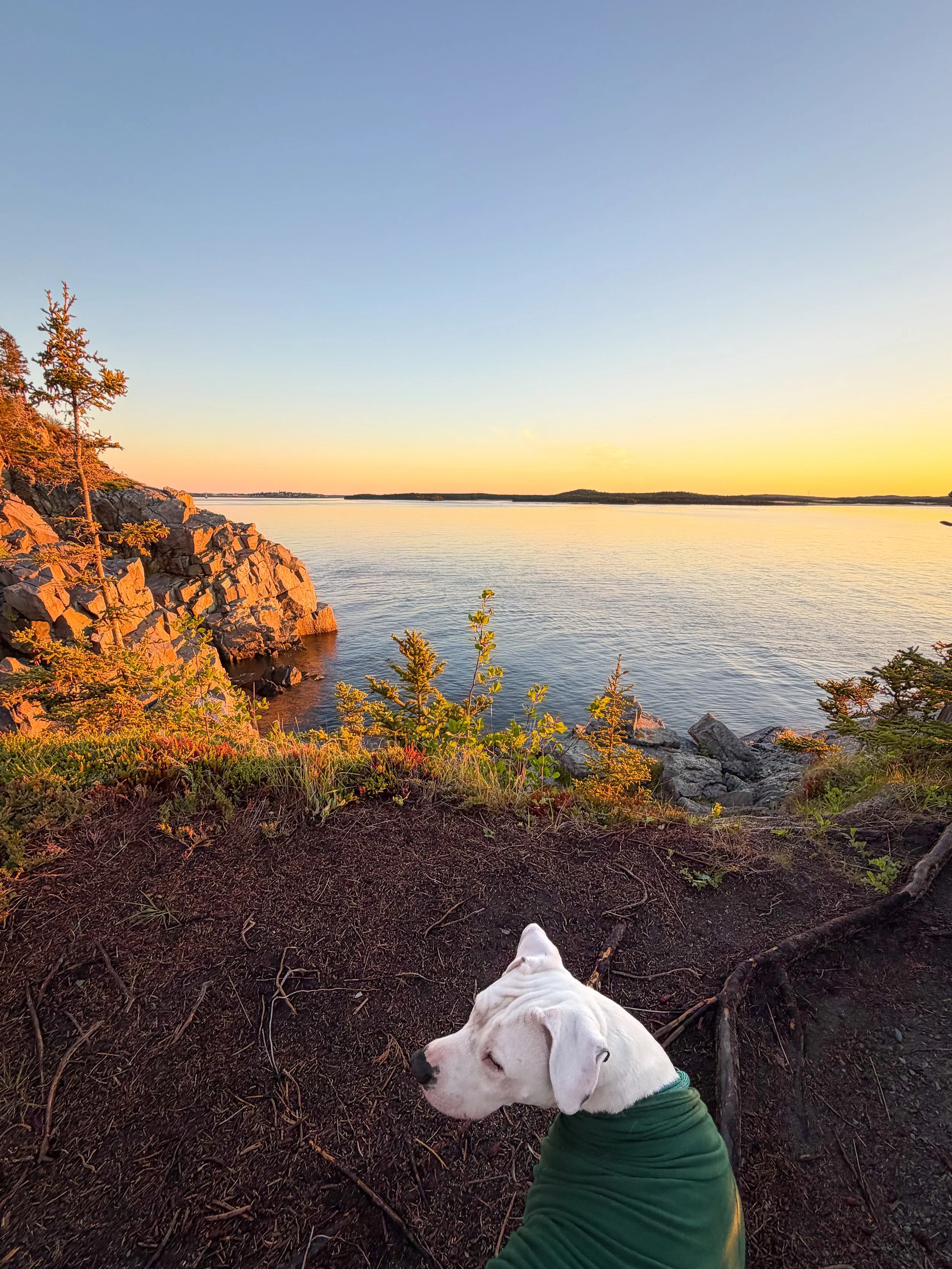 Quoddy Head State Park