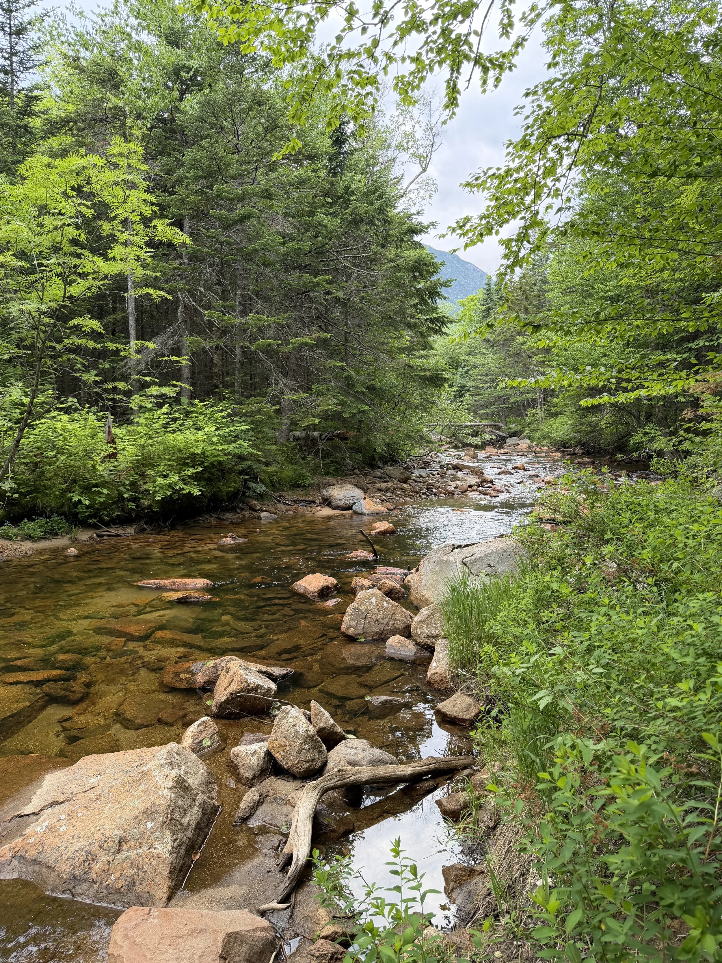 Crawford Notch State Park