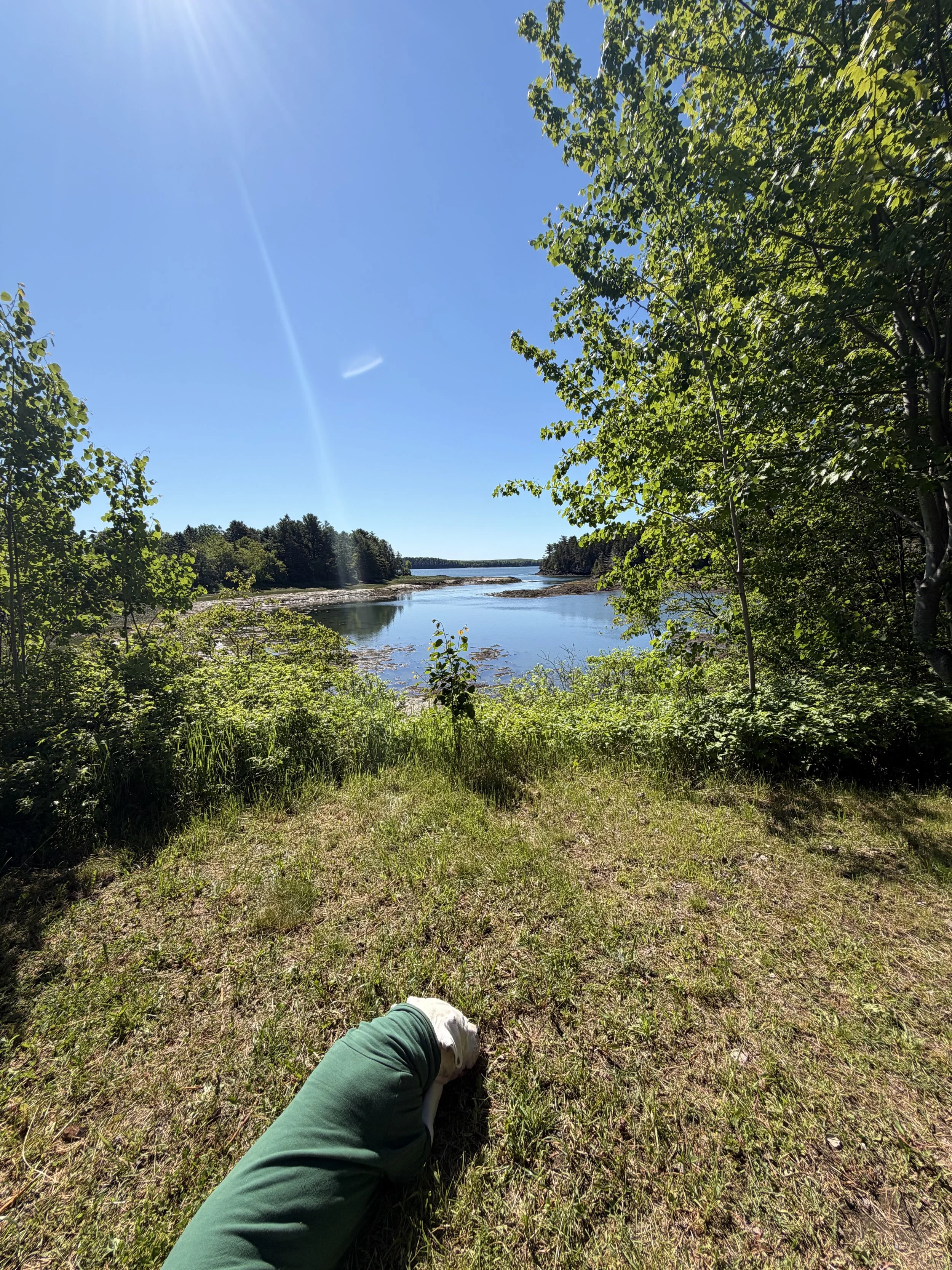 IMG_4976.jpeg