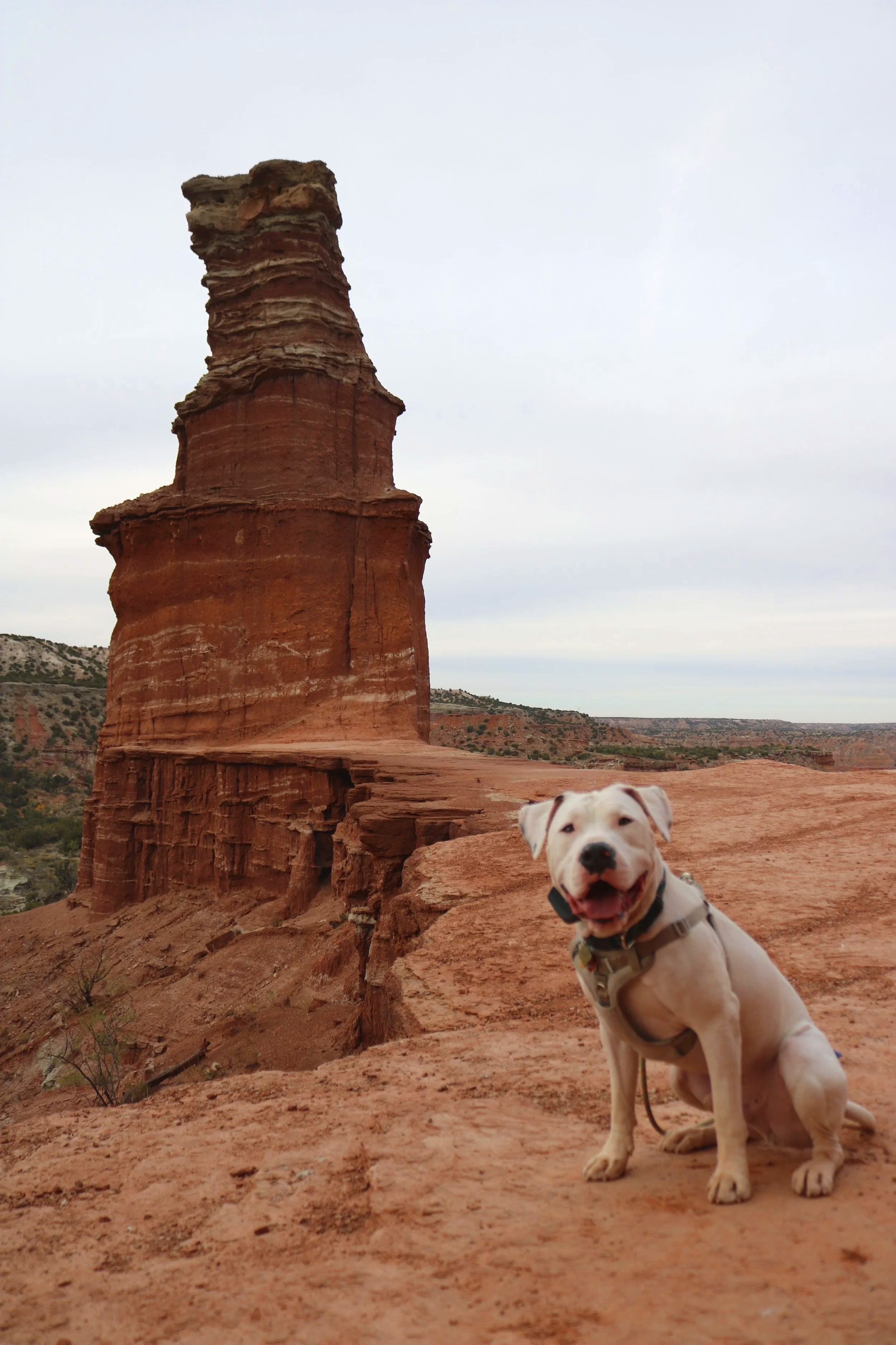 Palo Duro Canyon State Park