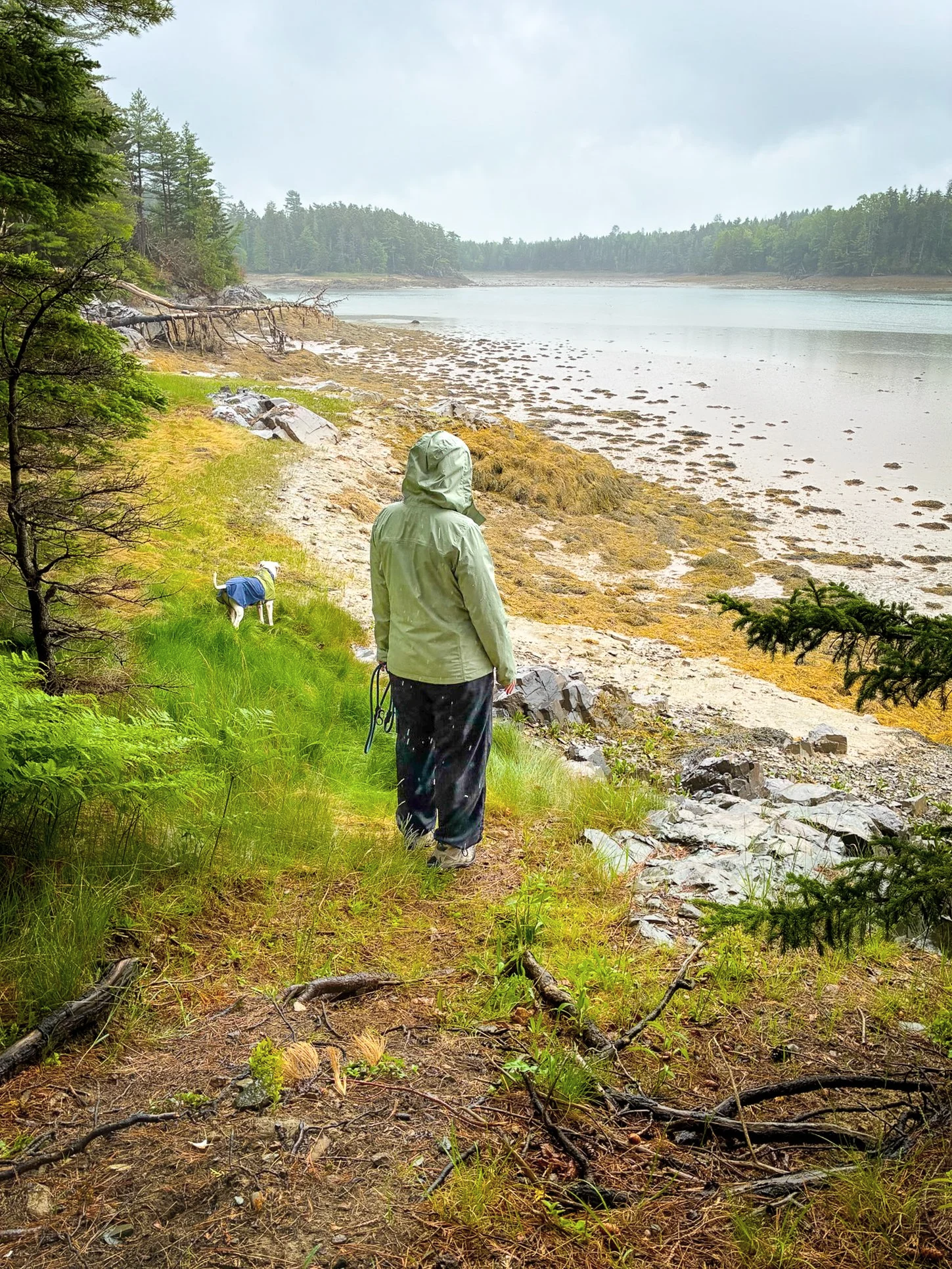 Cobscook Bay State Park