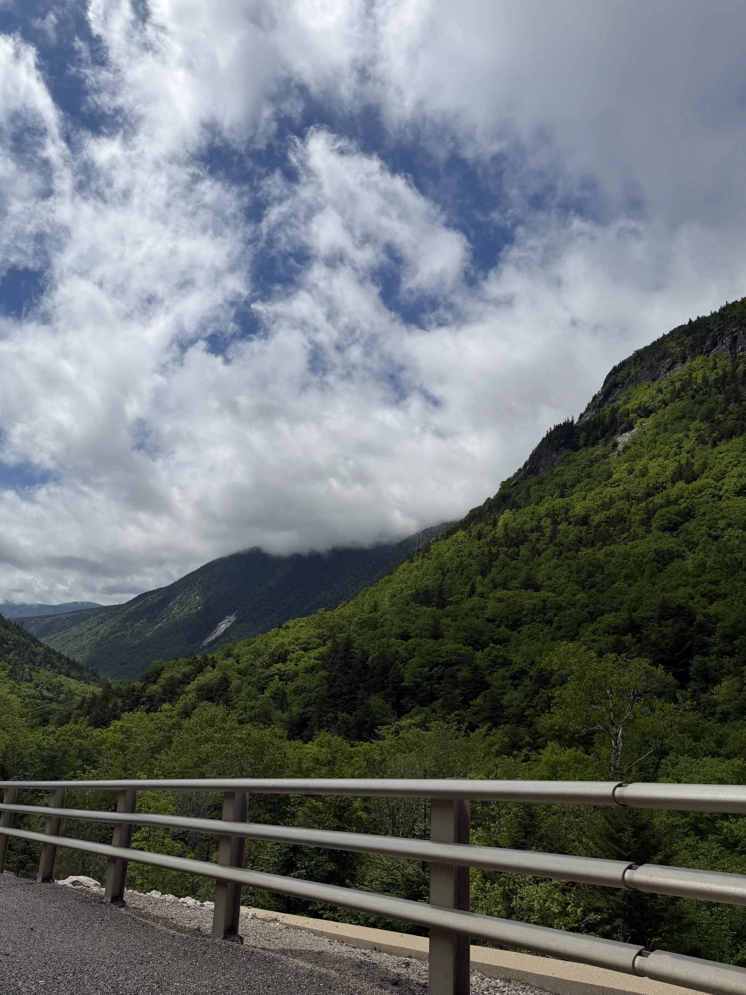 IMG_5406.jpeg