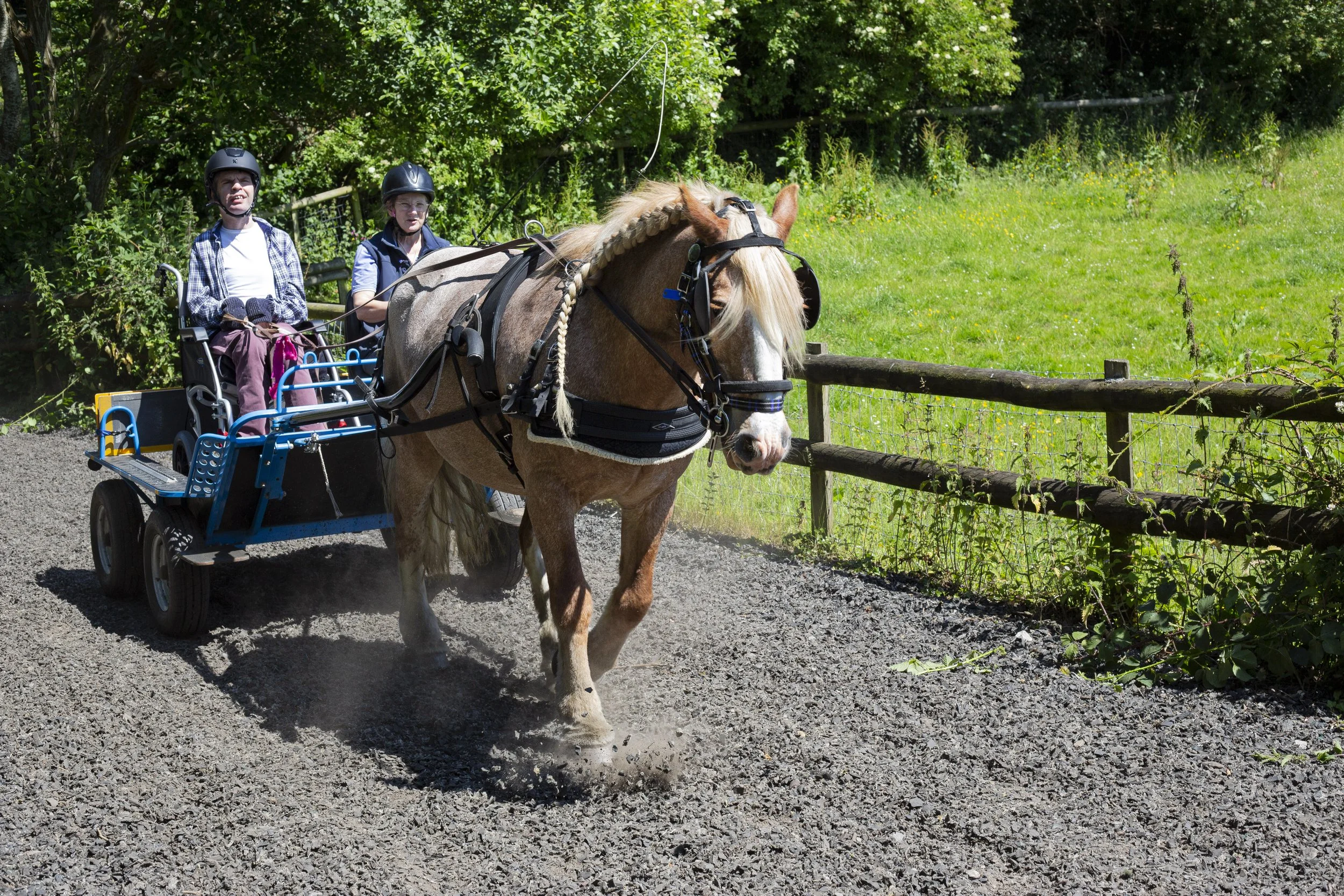 Clwyd Special Riding Centre