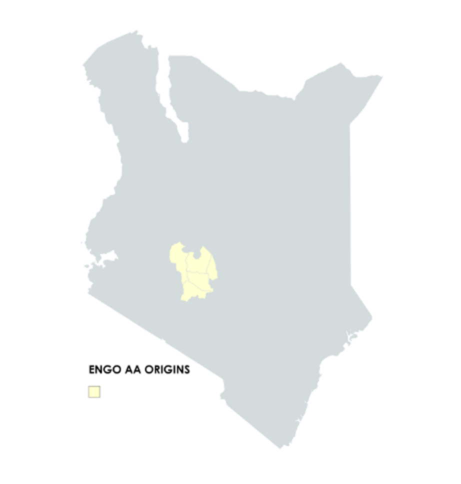 Kenya Engo AA